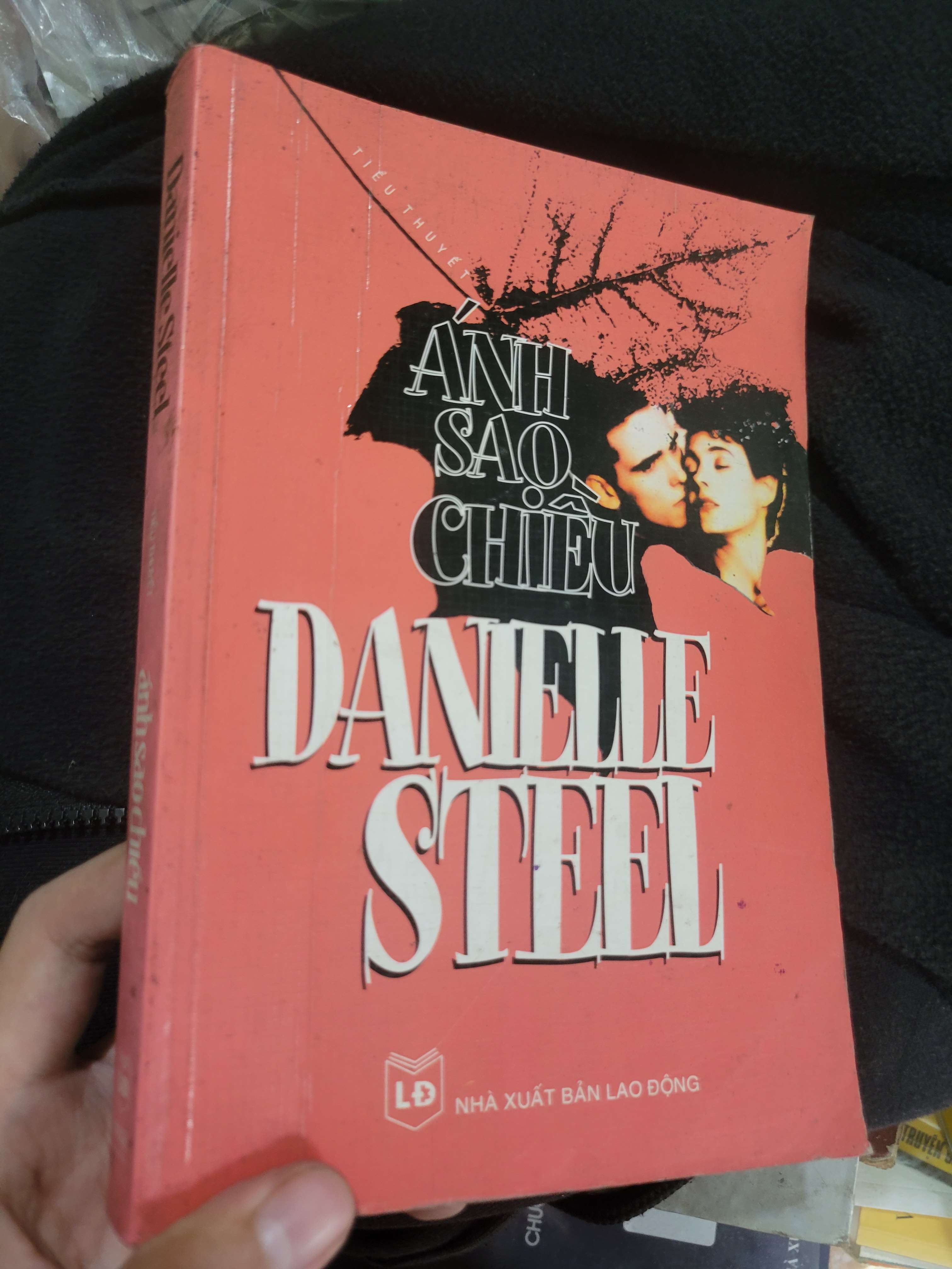 Ánh sao chiều - Danielle Steel 2005 mới 70% ố, bẩn bìa, có chữ ký (Sách văn học) BGB