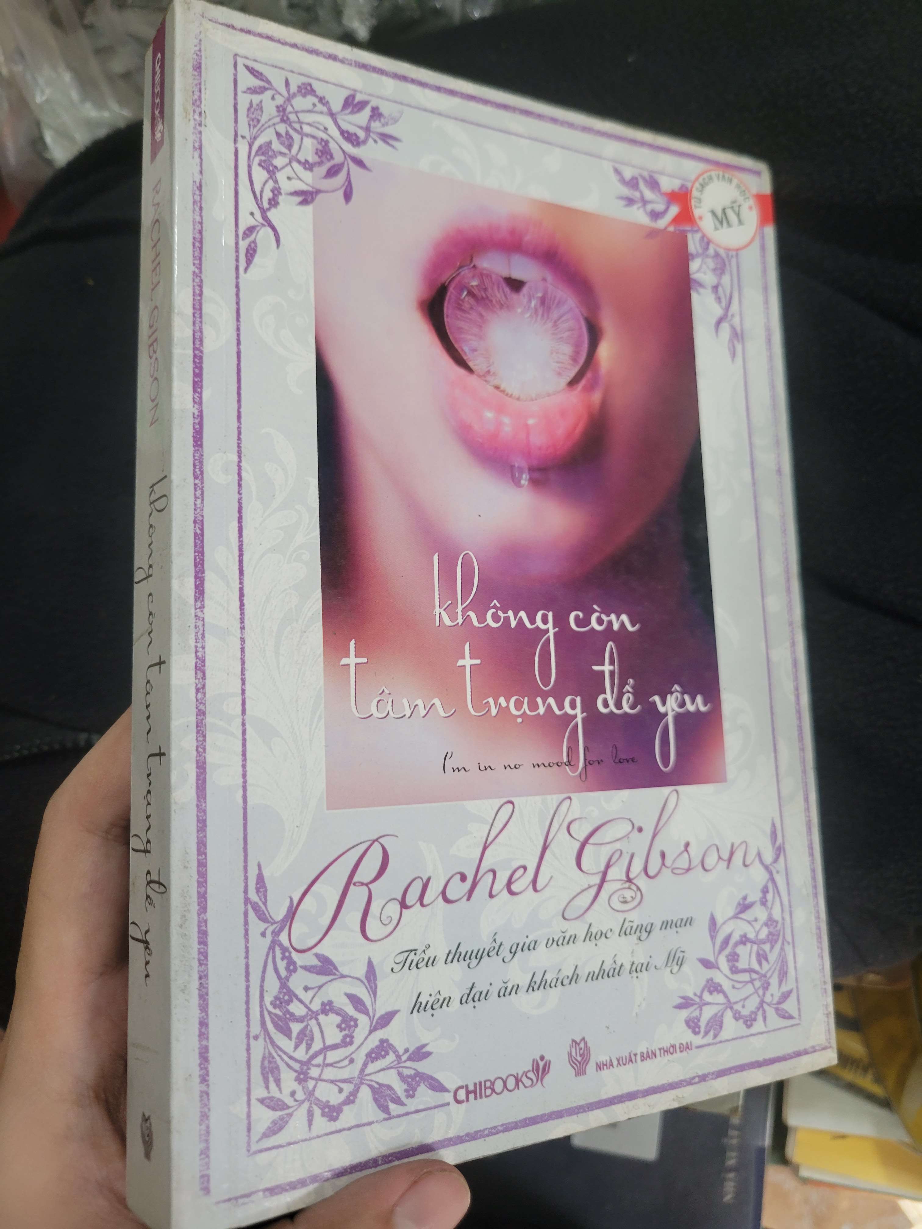 Không còn tâm trạng để yêu - Rachel Gibson 2010 mới 70% bẩn bìa, ố, có chữ viết (Sách văn học) BGB