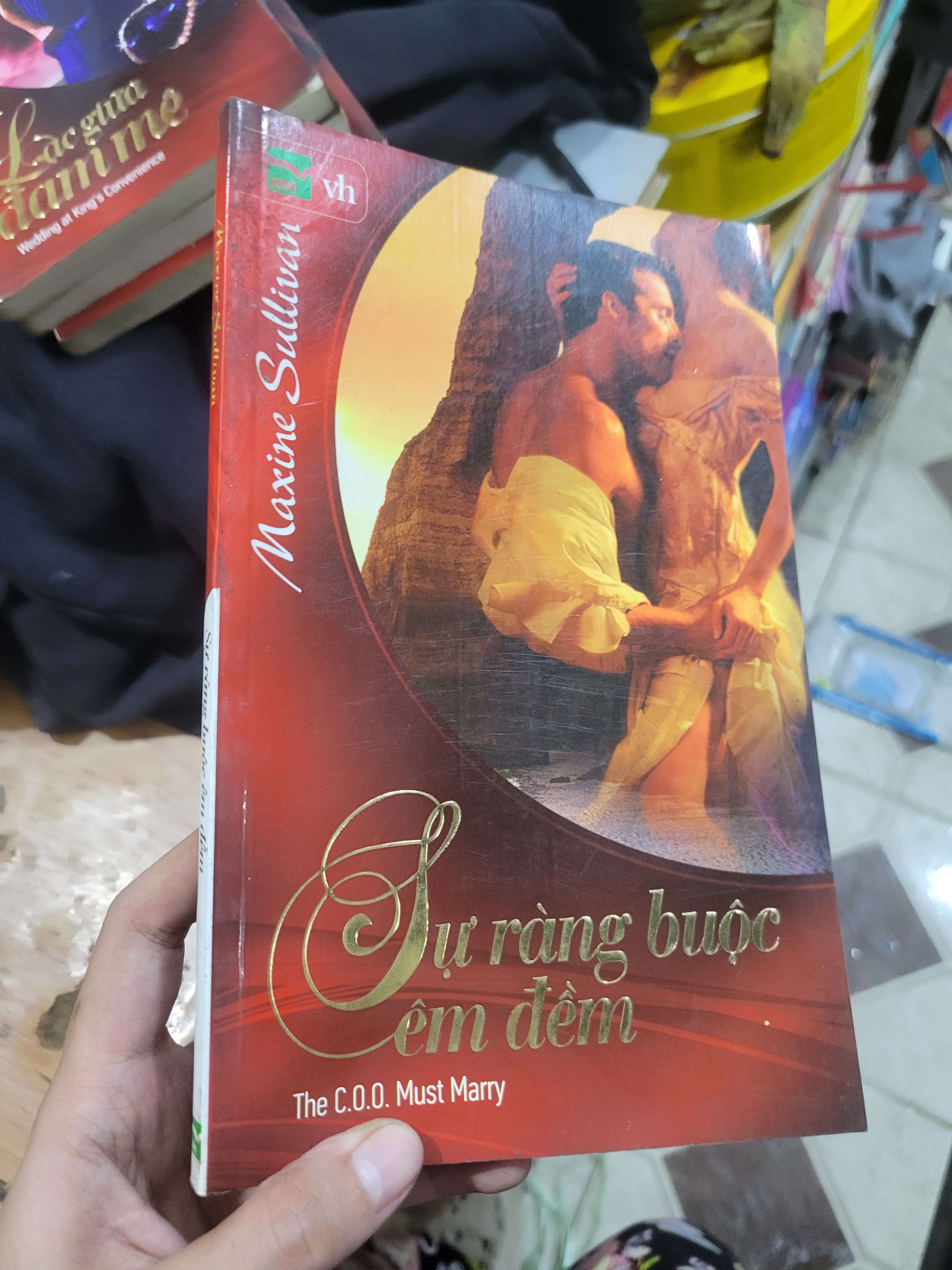 Sự ràng buộc êm đềm - Maxine Sullivan 2010 mới 80% ố, bẩn bìa (Sách văn học) BGB