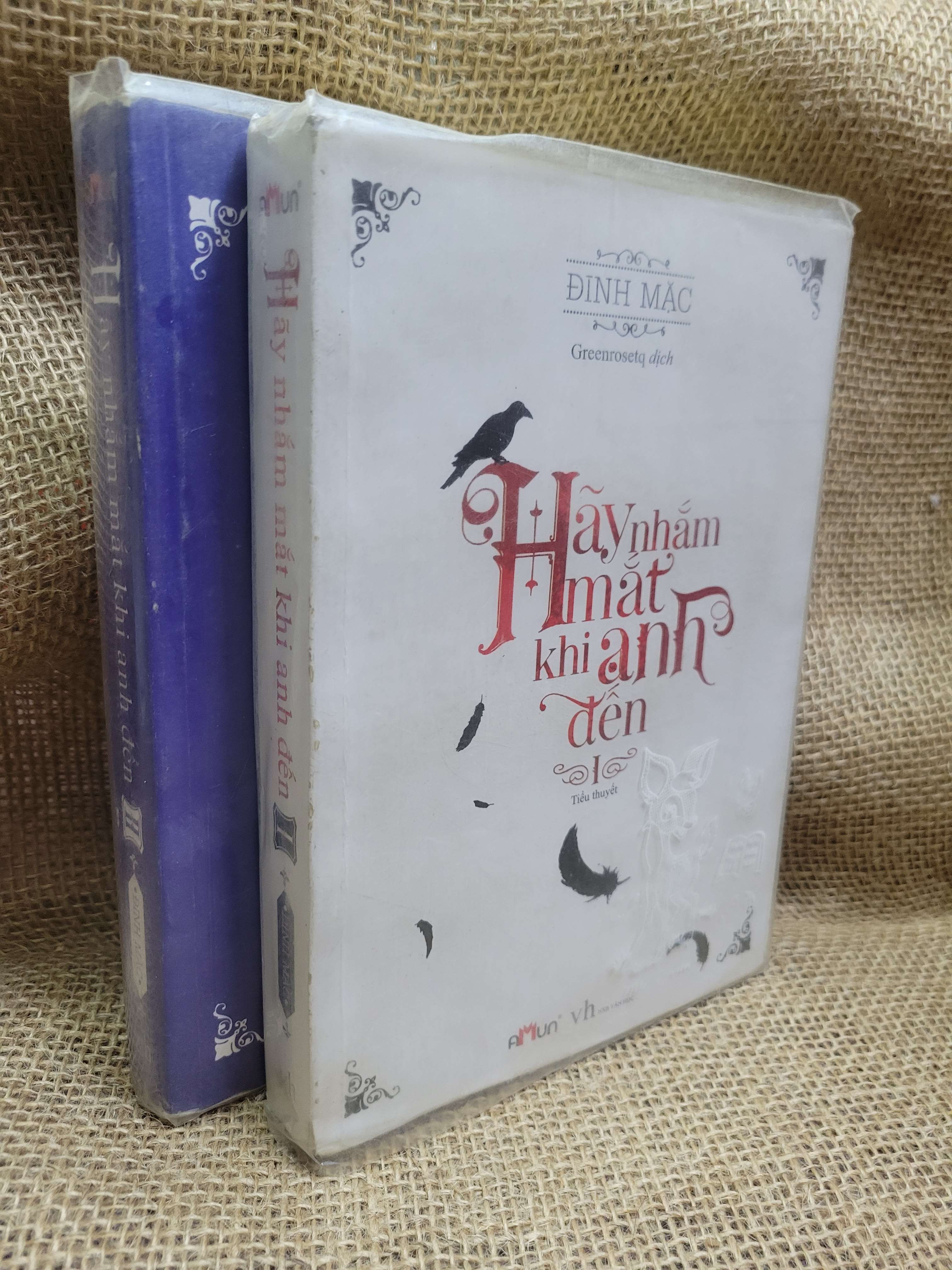 2 cuốn Hãy nhắm mắt khi anh đến - Đinh Mặc 2014 (sách in) mới 80% ố, bẩn bìa (Sách văn học) HCM