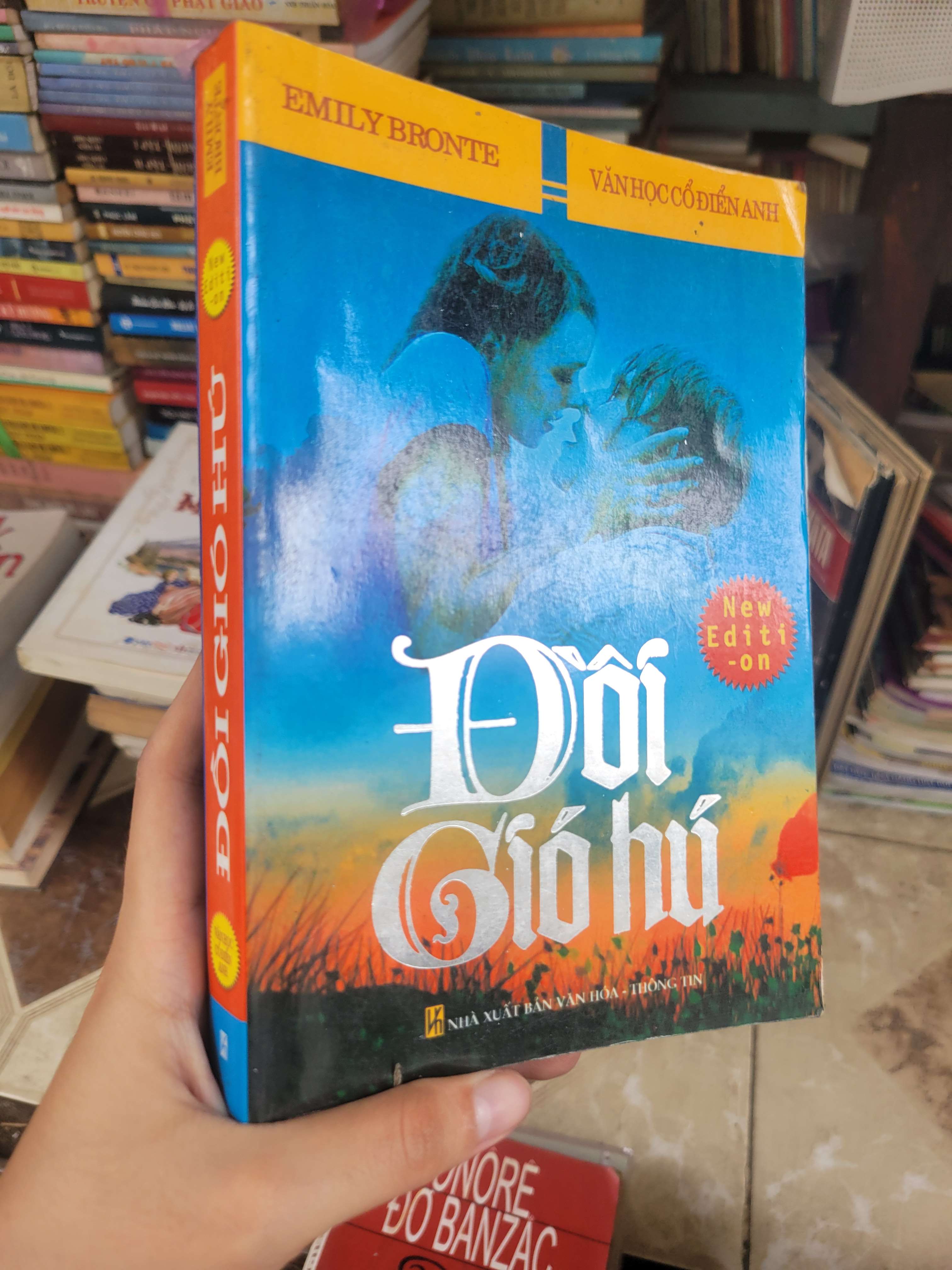Đồi gió hú - Emily Bronti 2008 mới 80% ố, bẩn bìa (Sách văn học) BGB