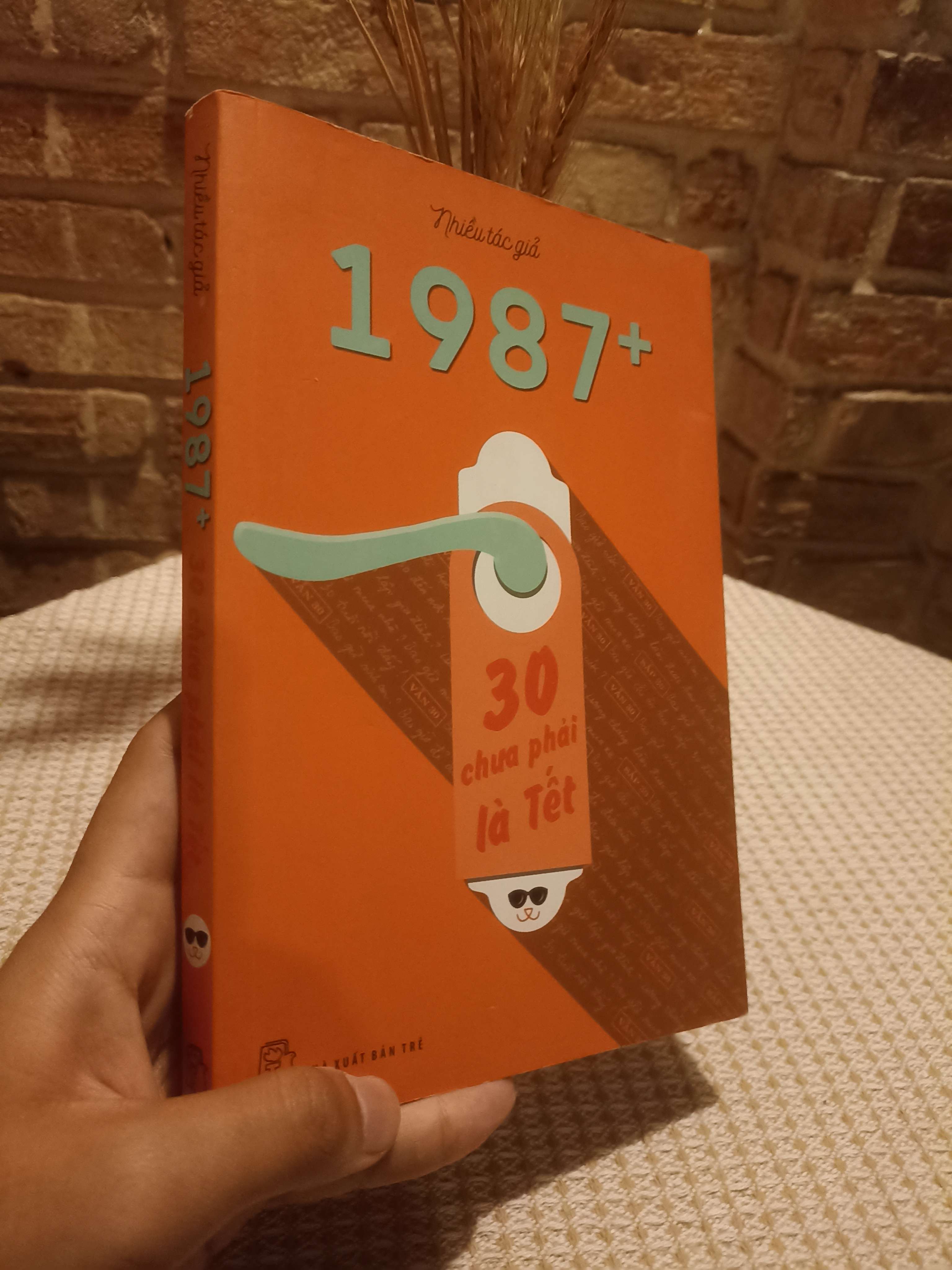 1987+ 30 chưa phải là Tết (Kỹ năng sống) NSX