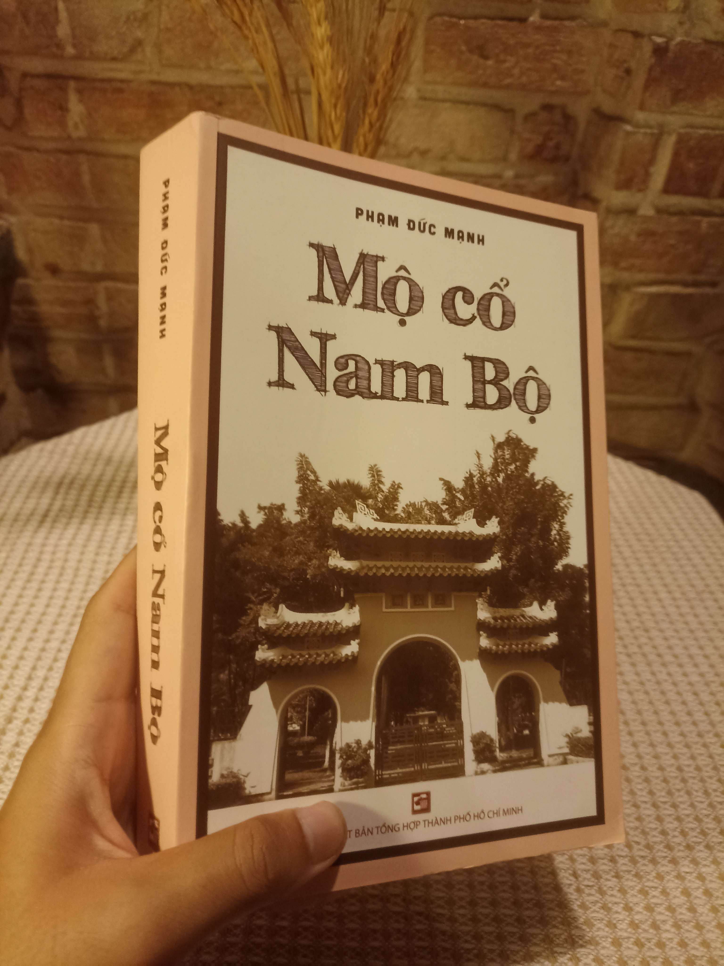 Mộ cổ nam bộ - Phạm Đức Mạnh (Sách lịch sử - triết học) NSX