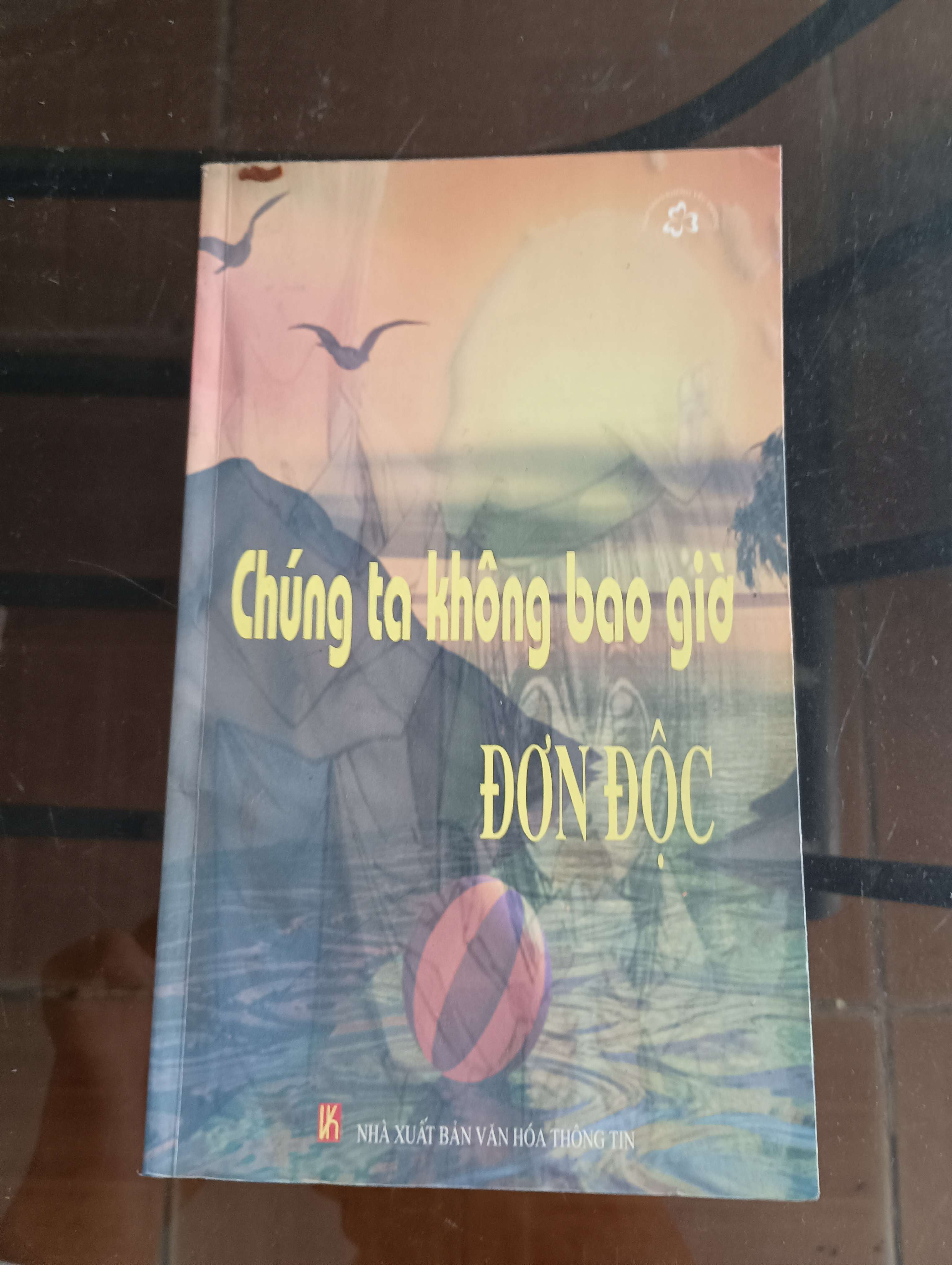 Chúng ta không bao giờ cô đơn 2005 (Sách văn học) VAVO