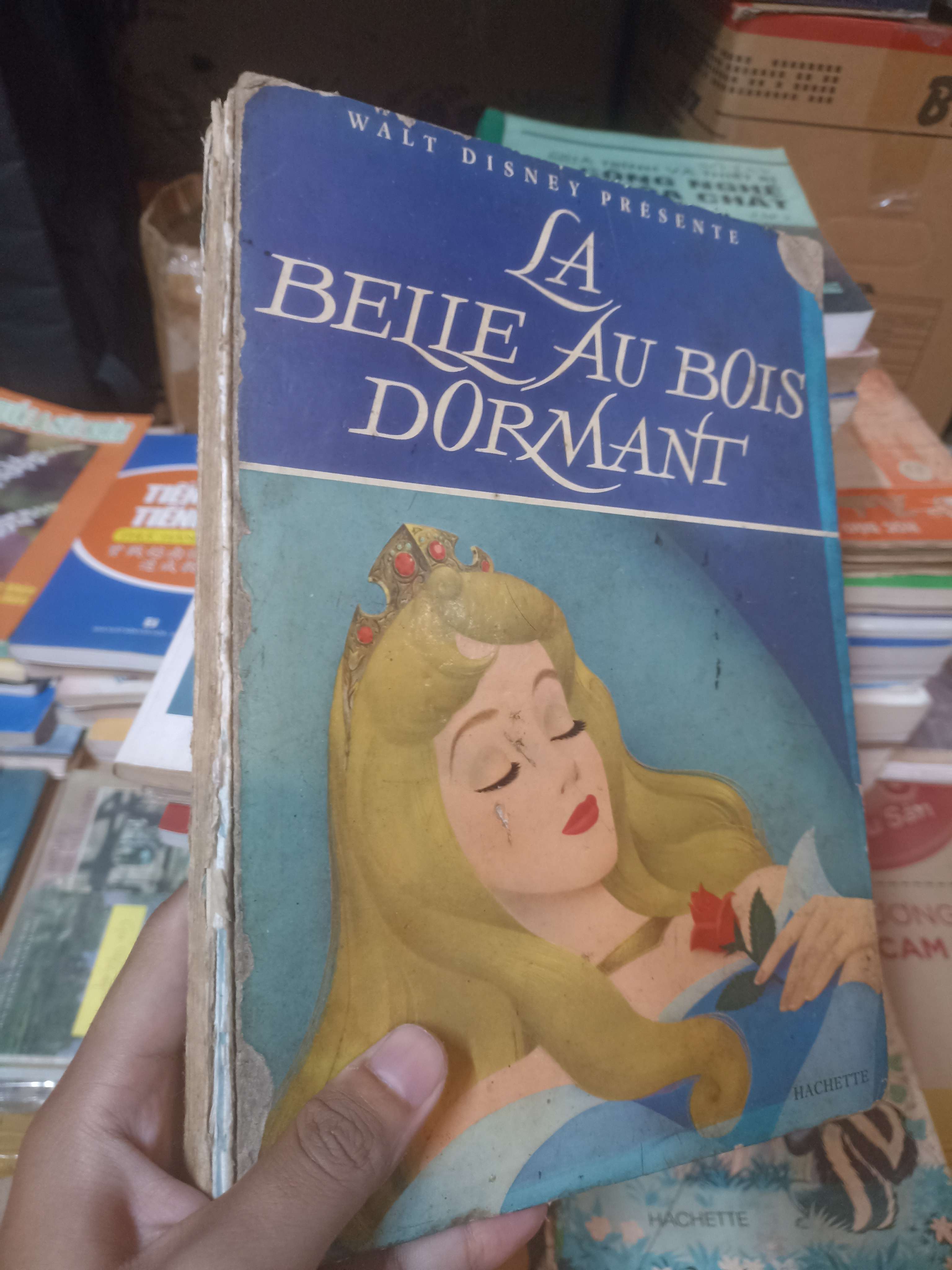 La Belle au Bois Dormant (Lọ lem truyện tranh tiếng Pháp) (Sách ngoại) NSX