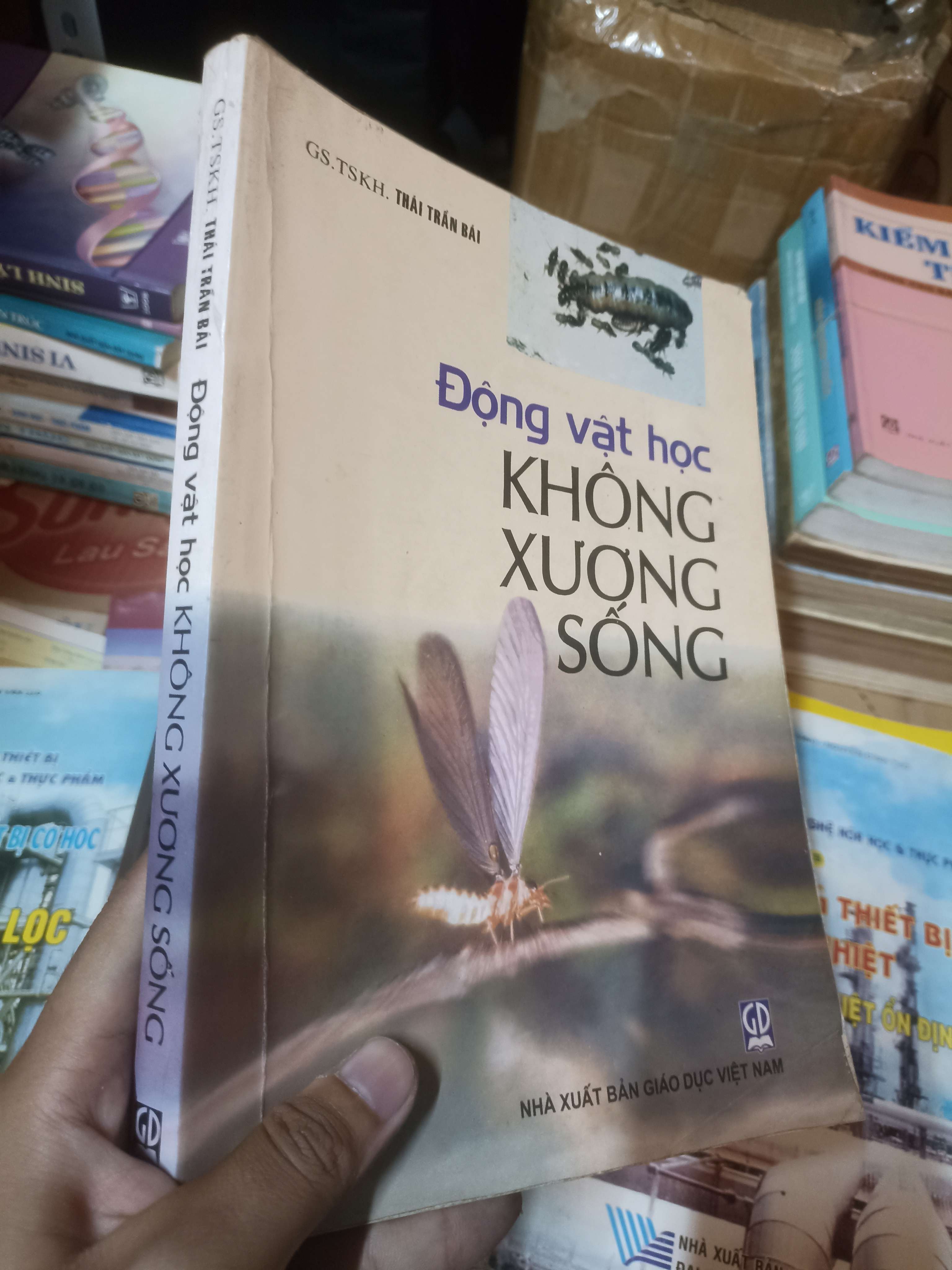 Động vật học KHÔNG XƯƠNG SỐNG - THÁI TRẤN BÁI (Sách giáo khoa - giáo trình) NSX