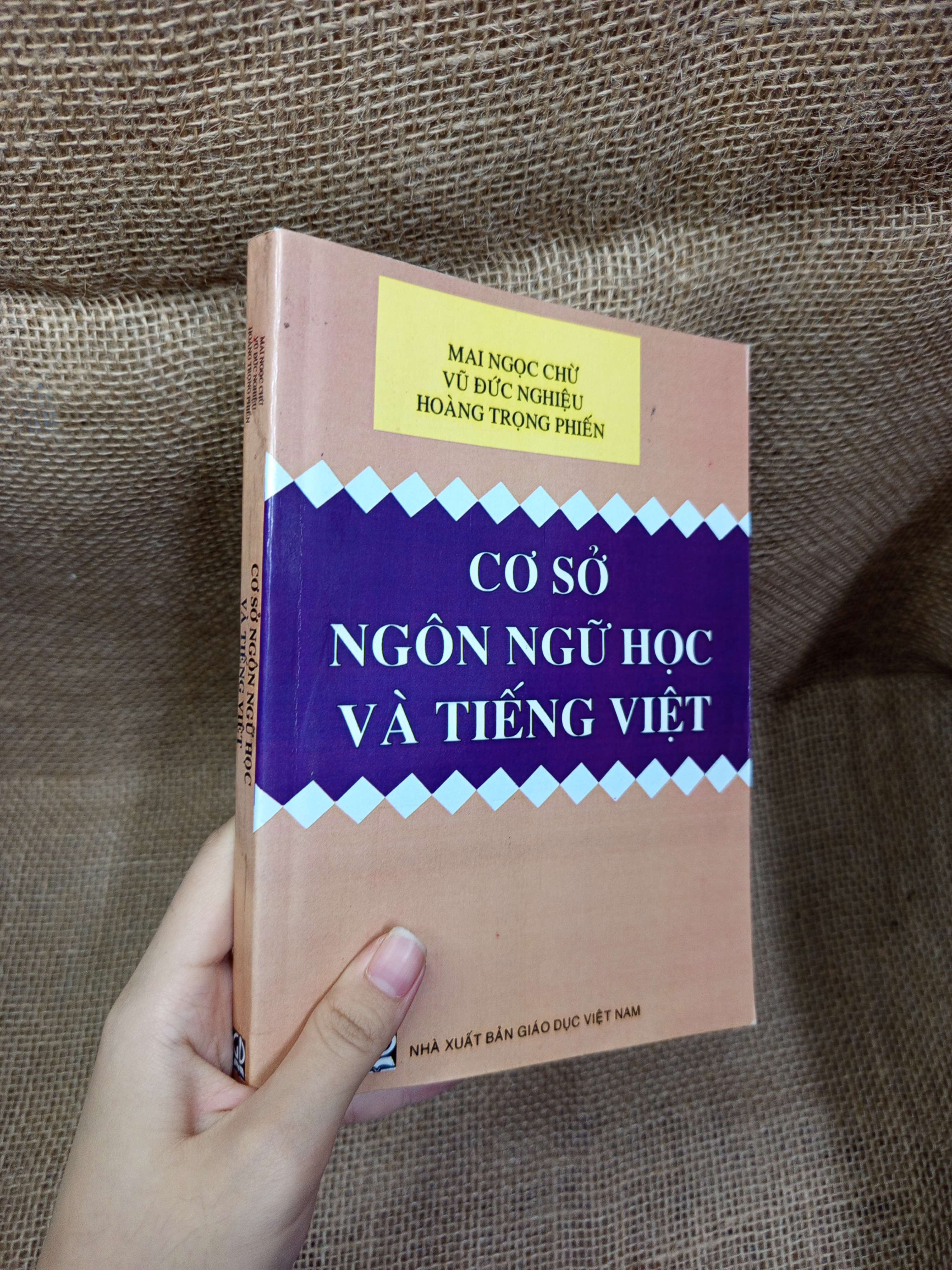 Cơ sở ngôn ngữ học và Tiếng Việt - Mai Ngọc Chừ, Vũ Đức Nghiệu, Hoàng Trọng Phiến 2009 mới 80% bẩn bìa, ố (Giáo trình đại học - cao đẳng) HCM