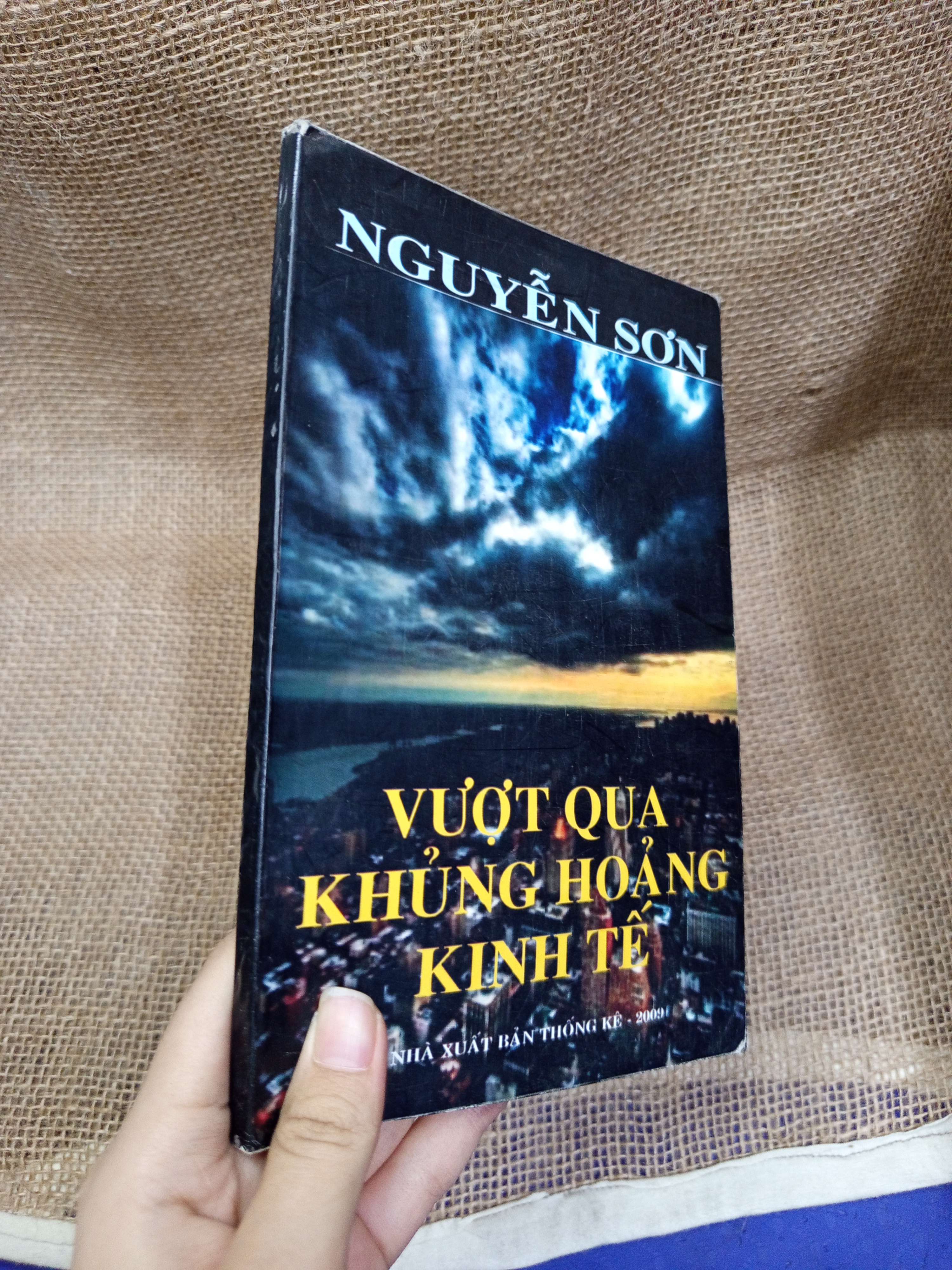 Vượt qua khủng hoảng kinh tế - Nguyễn Sơn 2008 mới 80% bẩn bìa, ố (Sách kinh tế - tài chính - chứng khoán) HLSC
