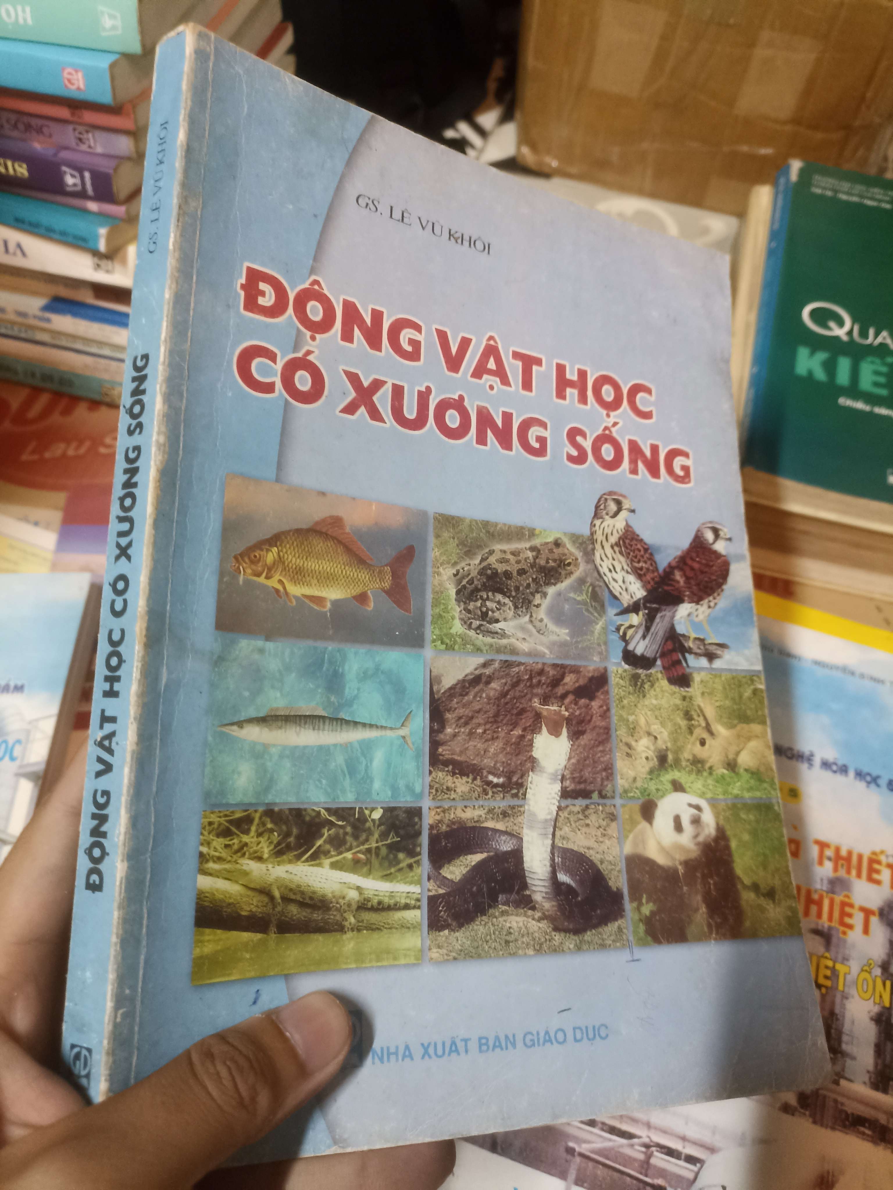 ĐỒNG VẬT HỌC CÓ XƯƠNG SỐNG - Lê Vũ Khôi (Sách giáo khoa - giáo trình) NSX