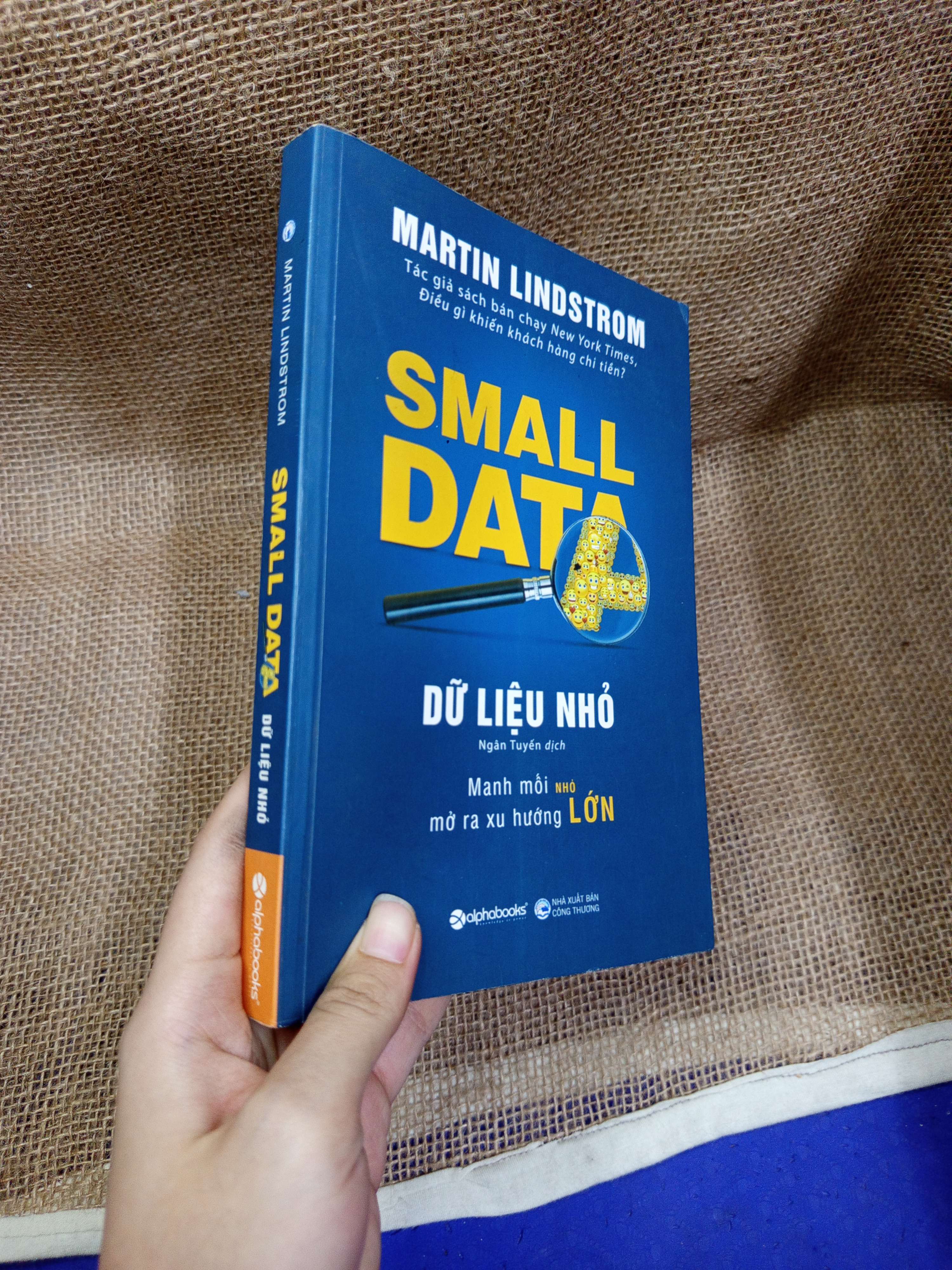 Small Data Dữ liệu nhỏ - Martin Lindstrom 2017 mới 80% bẩn bìa, ố (Kinh doanh - Marketing) HLSC