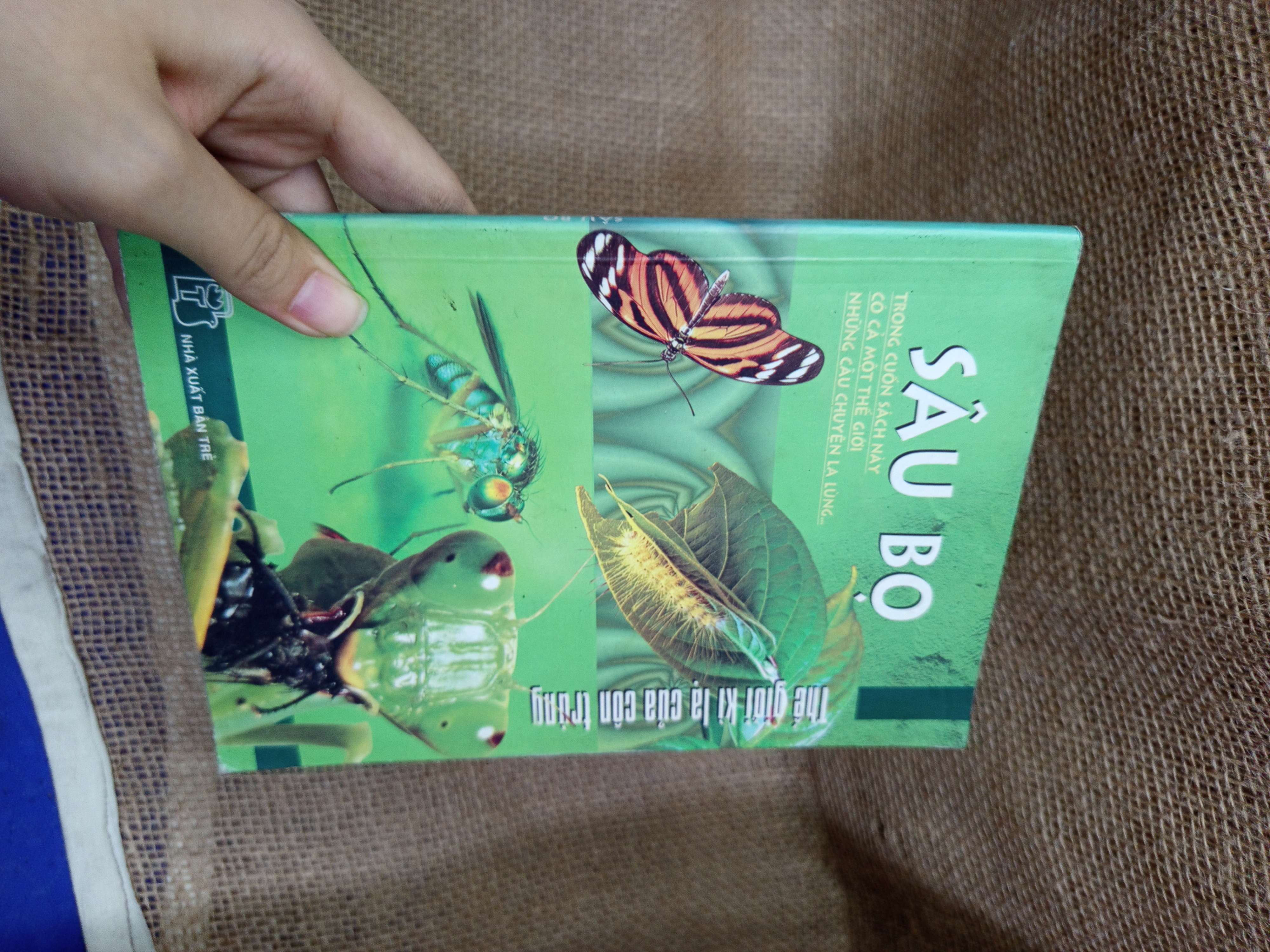 Sâu bọ 2007 mới 80% bẩn bìa, ố (Sách kiến thức tổng hợp) HLSC
