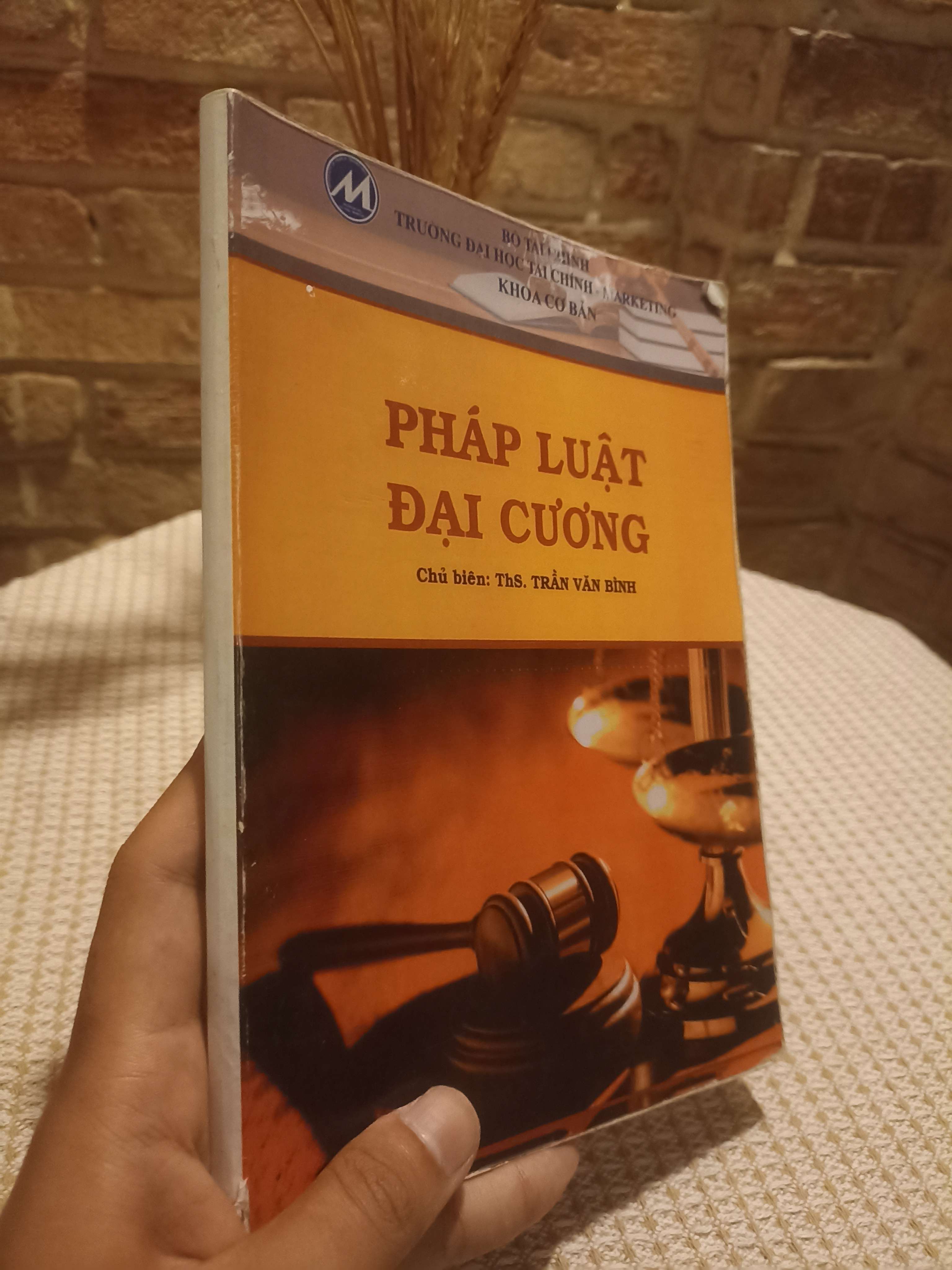Pháp luật đại cương - Trần Văn Bình (Sách giáo khoa - giáo trình) NSX