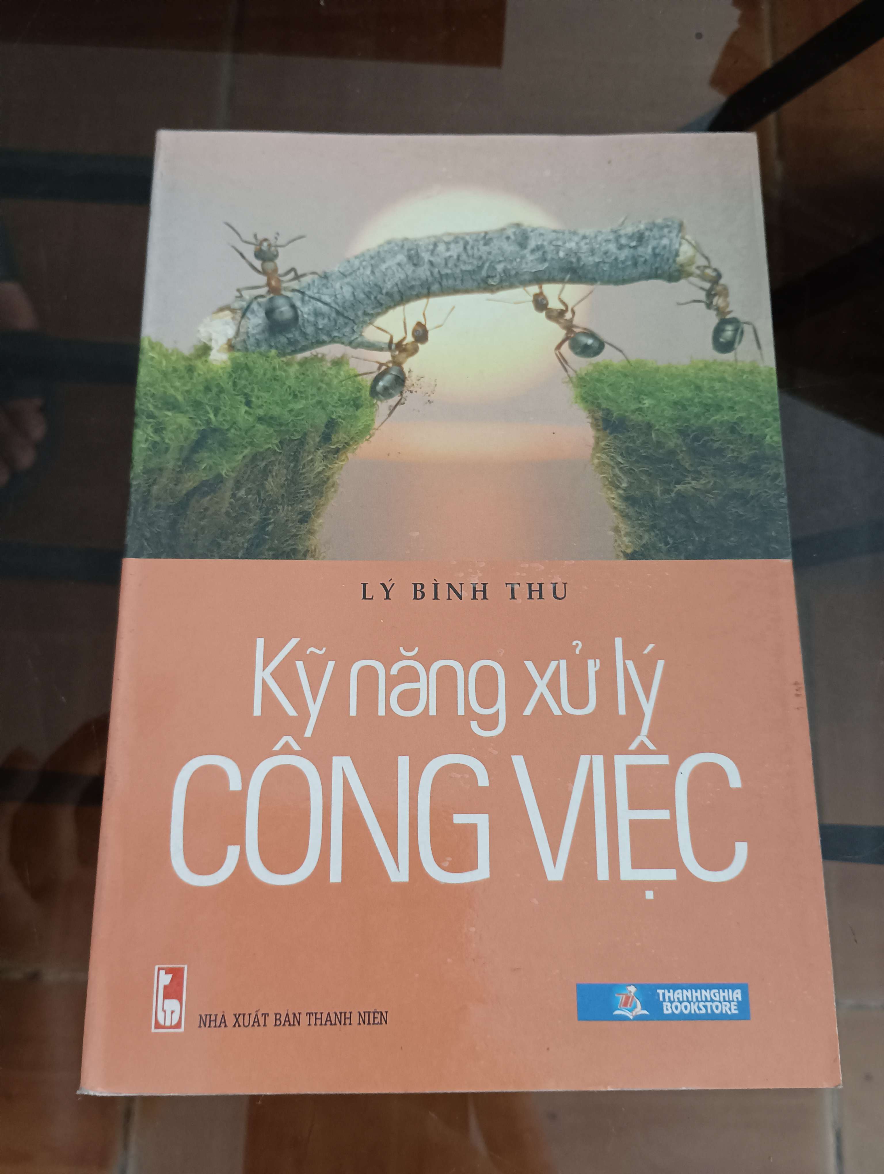 Kỹ năng xử lý công việc - Lý Bình Thu 2013 (Kỹ năng sống) VAVO