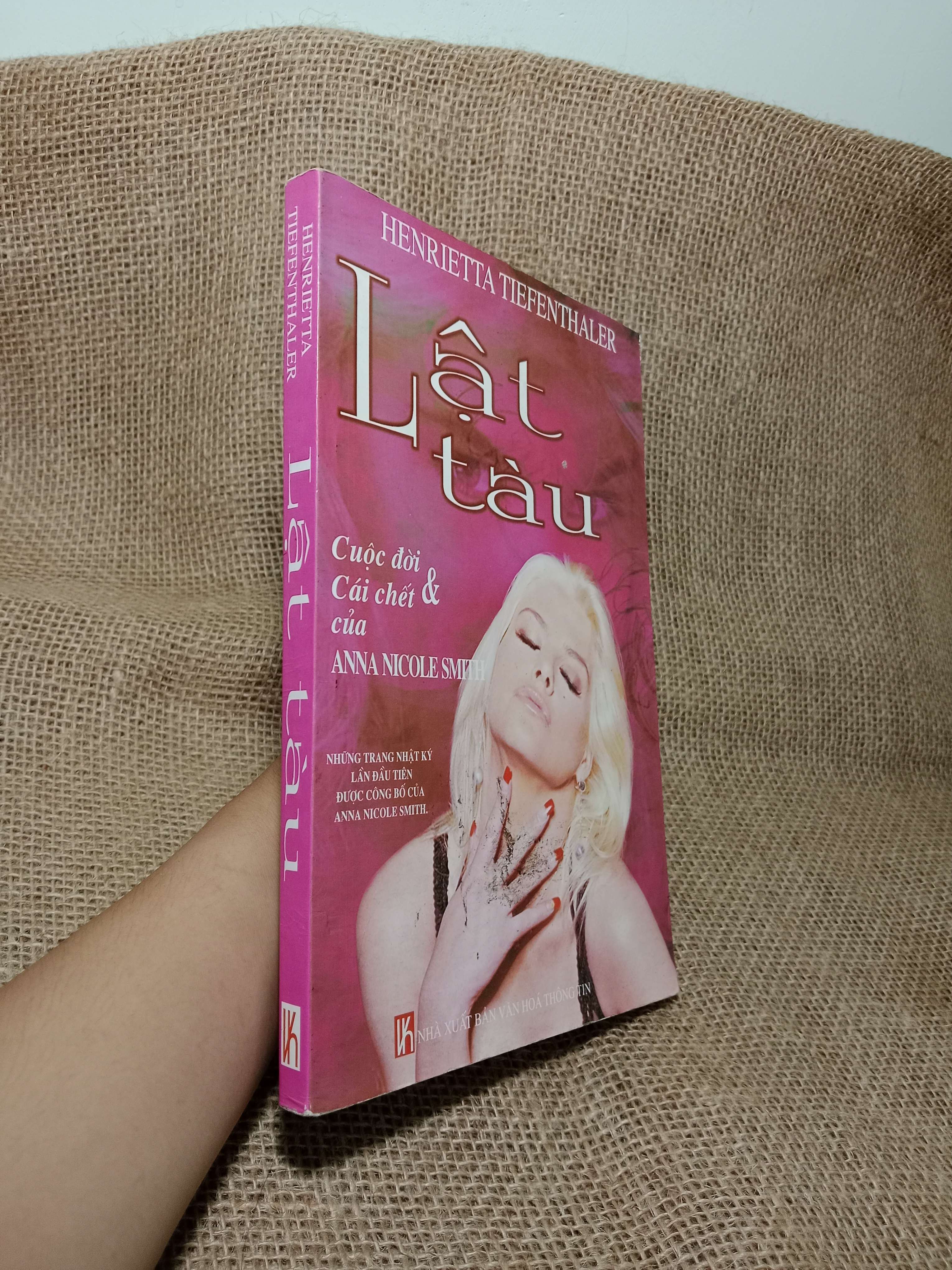 Lật tàu - Henrietta Tiefenthaler 2008 mới 80% (Sách văn học) HLSC