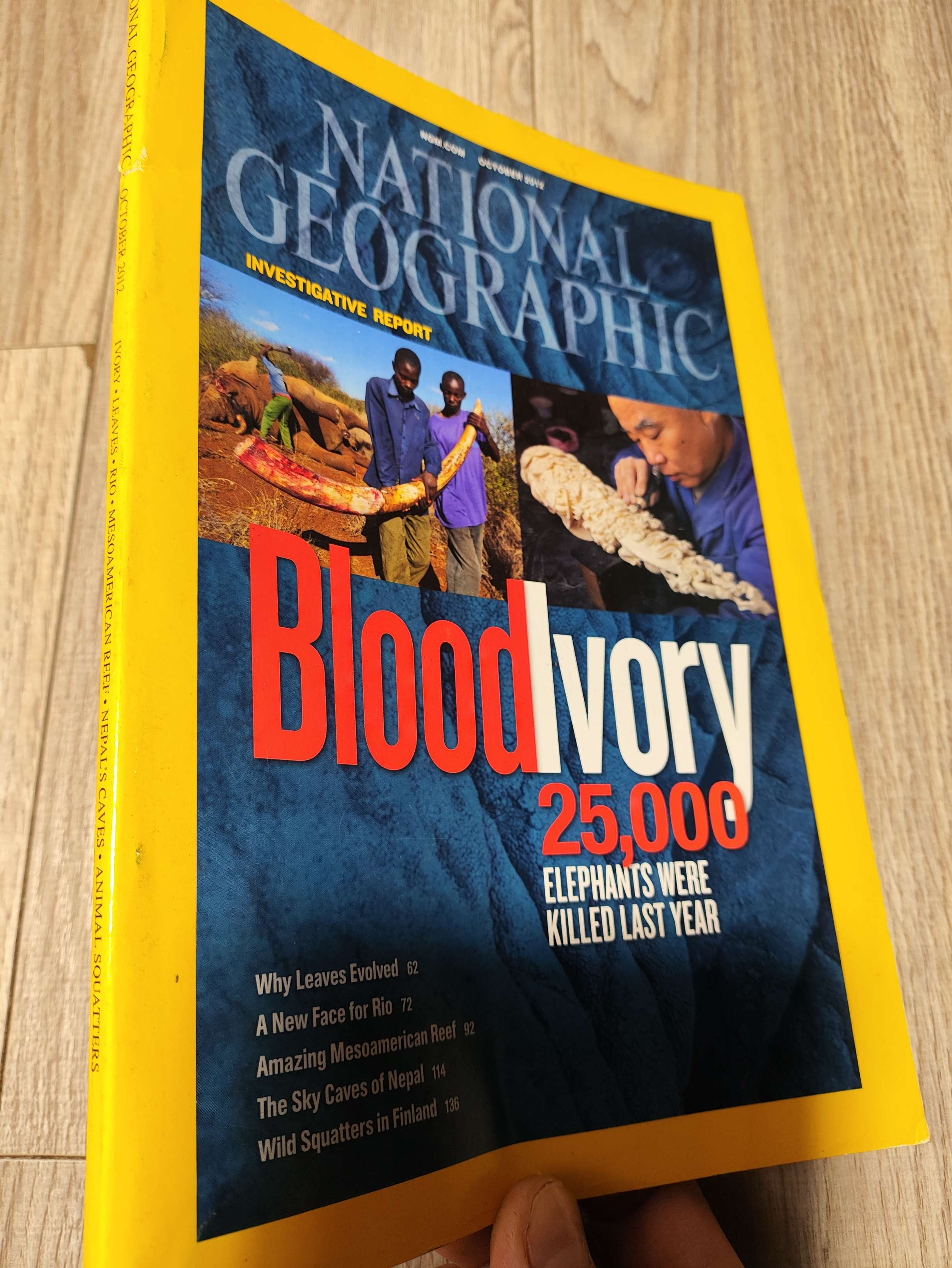 National geographic - Bloodlvory 2012 Tạp Chí Đẹp, mới 80% (Tạp chí) LNTQ
