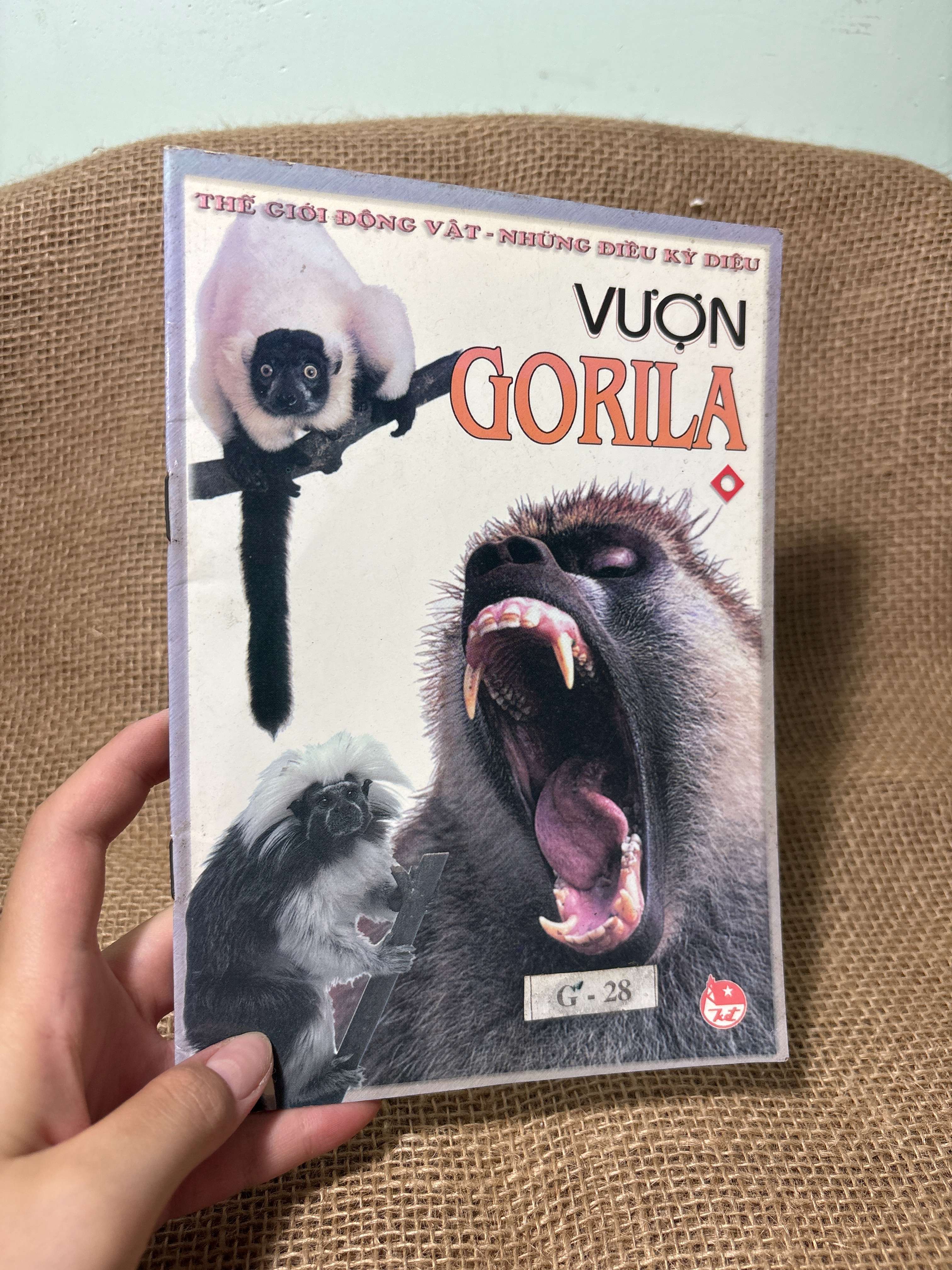 Vượn Gorila mới 80% (Sách kiến thức tổng hợp) HCM