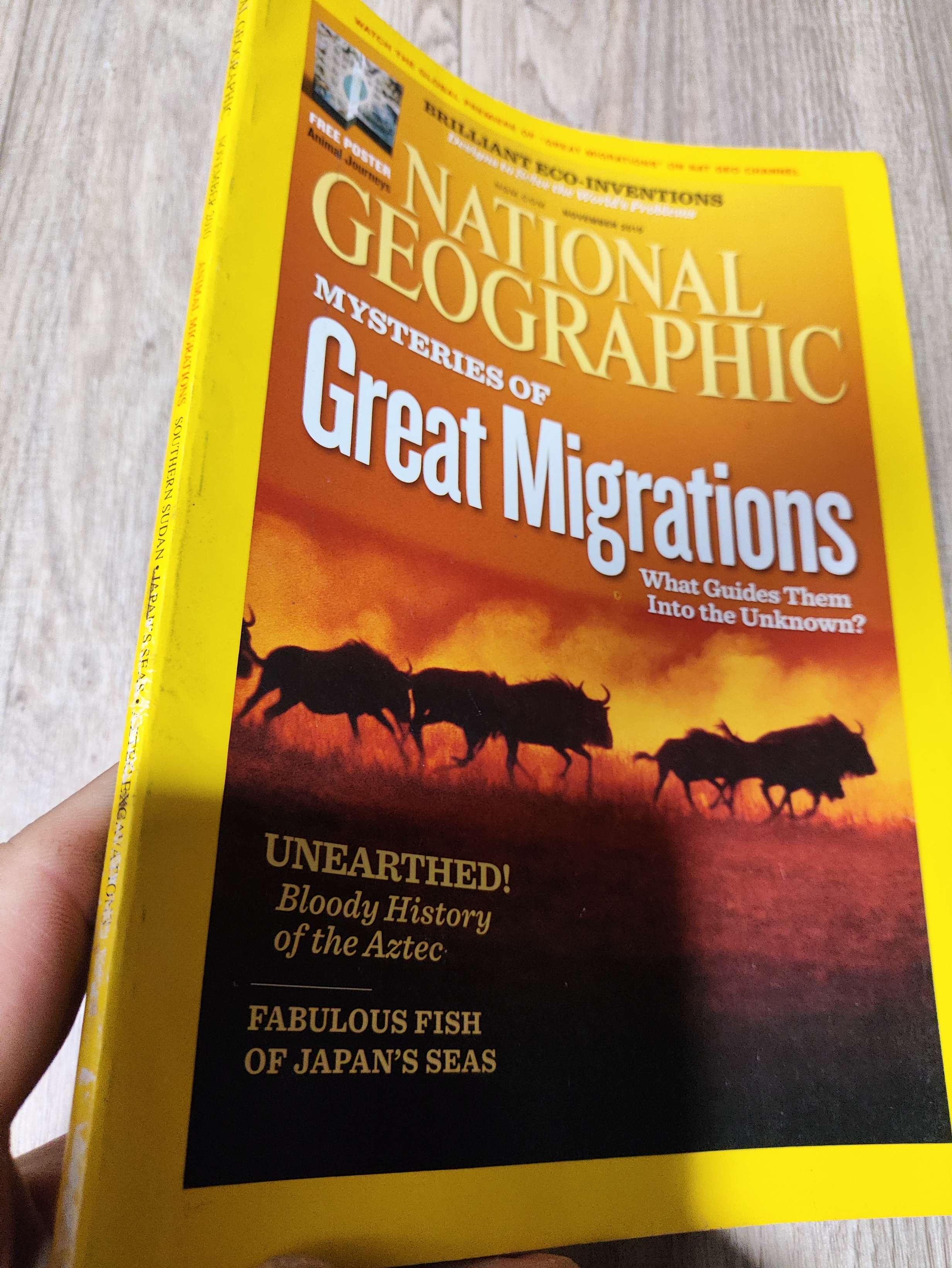National geographic - Mysteries of great migrations 2010 Tạp Chí Đẹp, mới 70% , tróc gáy (Tạp chí) LNTQ