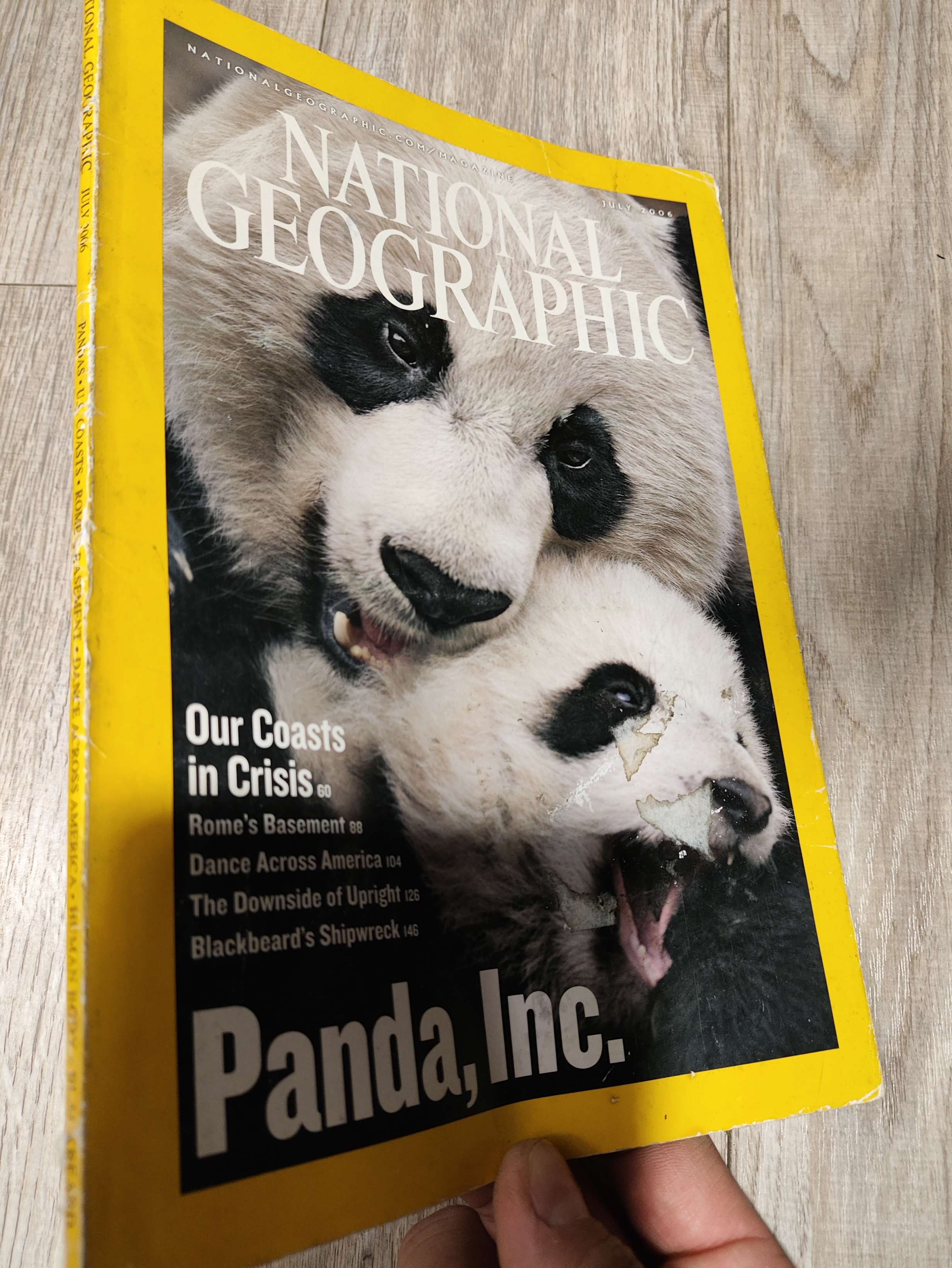 National geographic - Panda, Inc. 2006 Bìa dính 1 mẩu nhỏ giấy dán, mới 70% , tróc gáy (Tạp chí) LNTQ