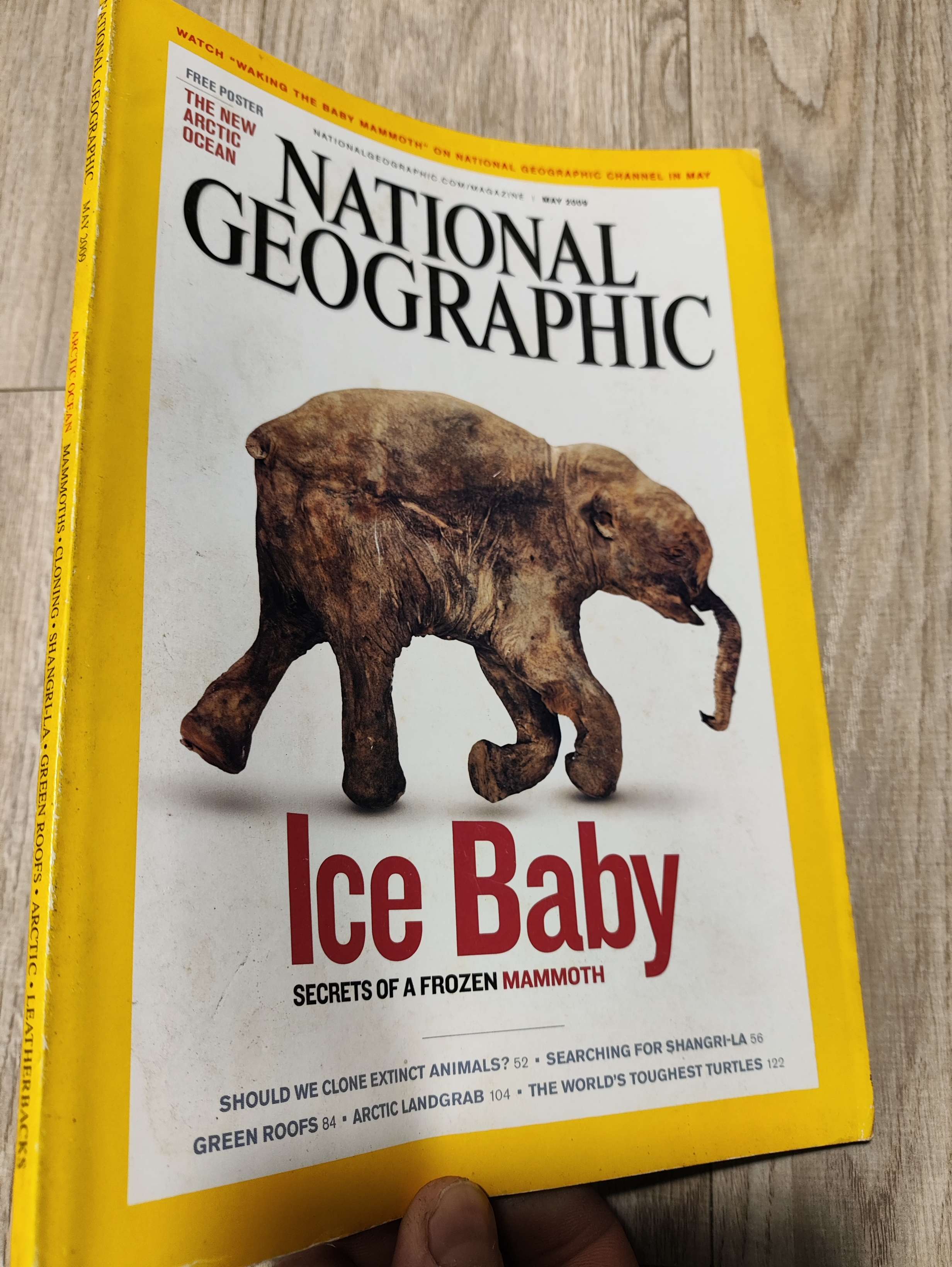 National geographic - Ice Baby secrets of a frozen Mammoth 2009 Tạp Chí Đẹp, mới 80% (Tạp chí) LNTQ