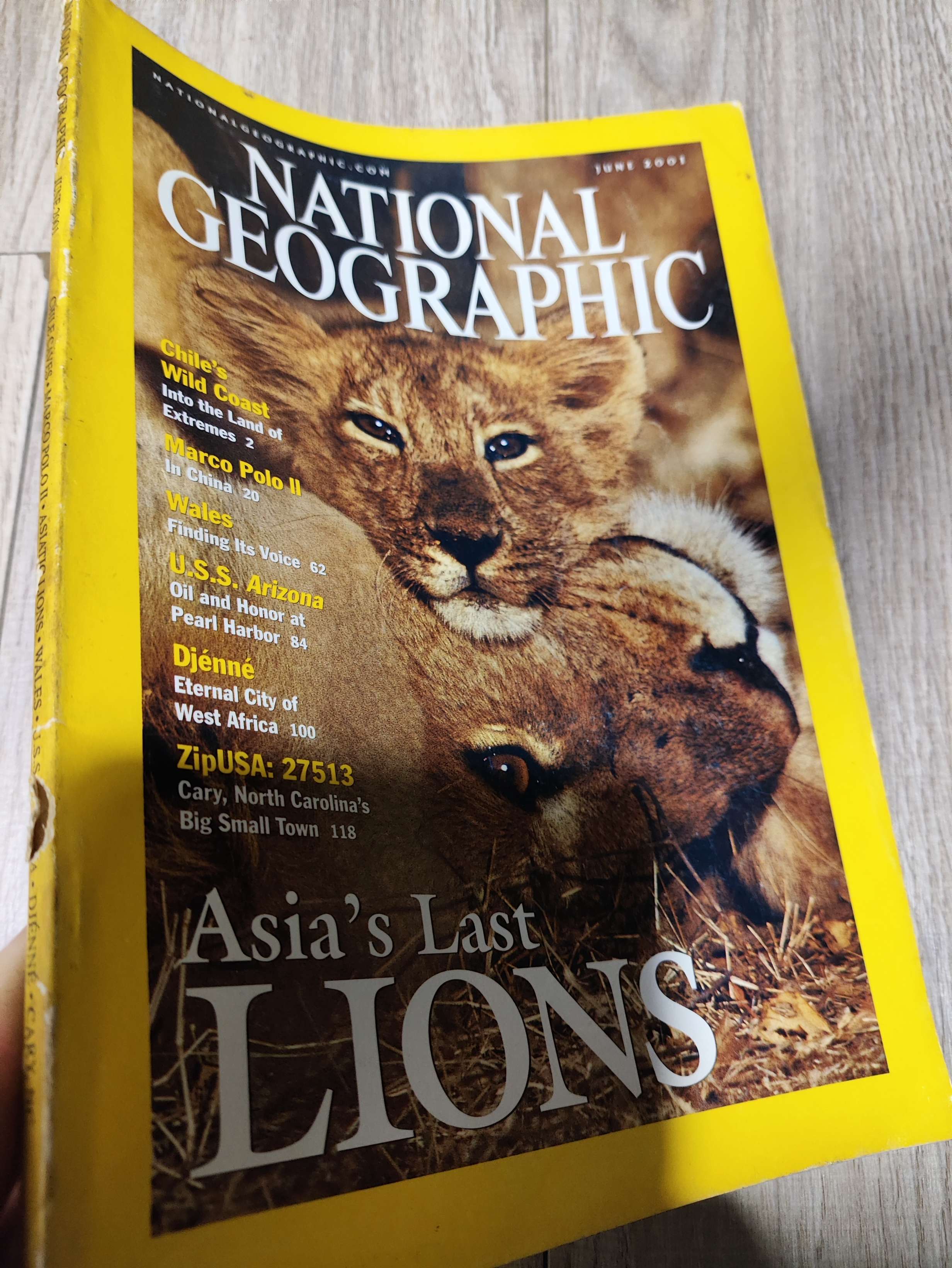 National geographic - Asia's last lions 2001 Tạp Chí Đẹp, mới 70% , tróc gáy (Tạp chí) LNTQ