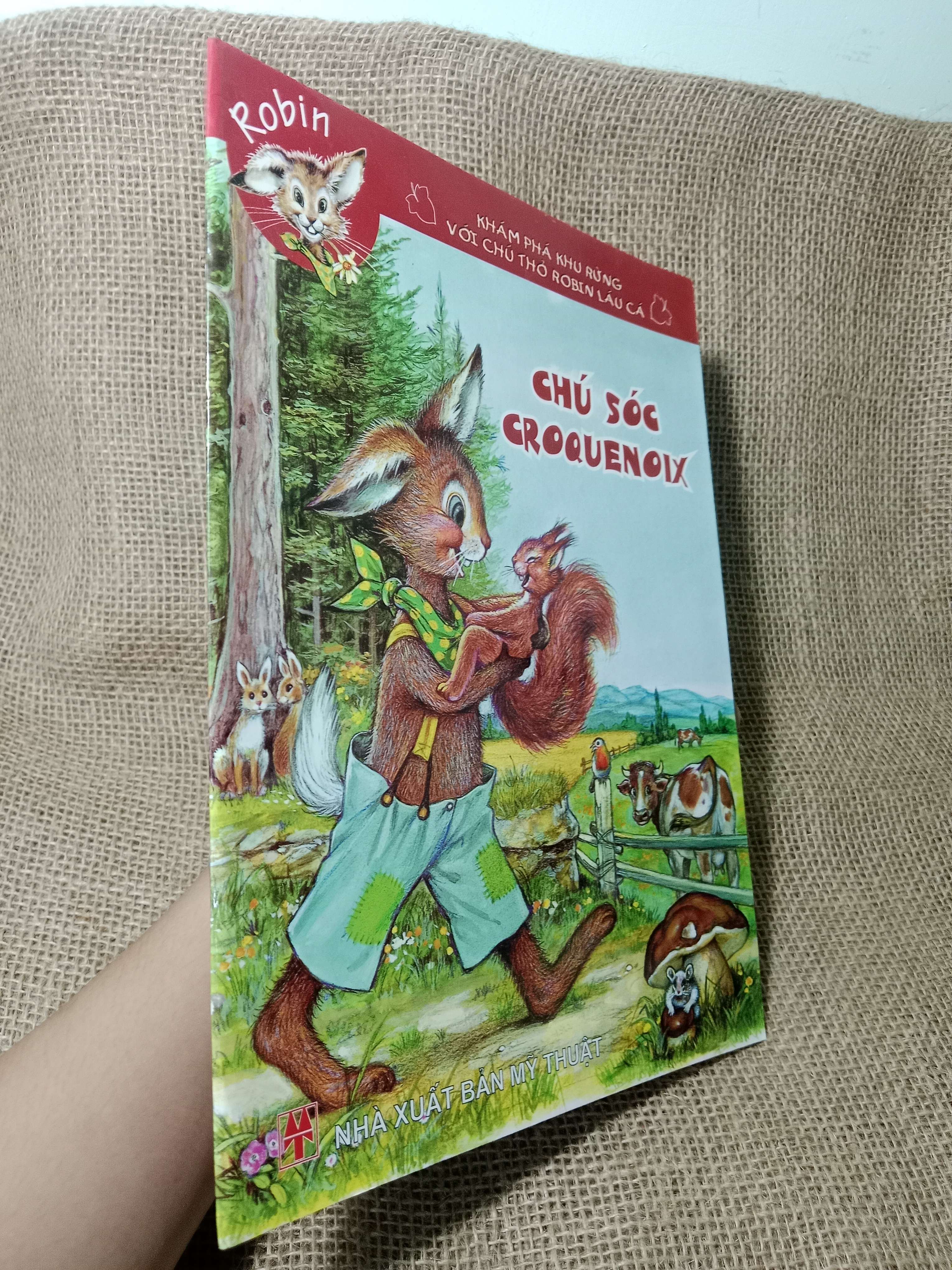 Chú sóc Croquenoix - Robin 2008 mới 80% (Sách thiếu nhi) HCM