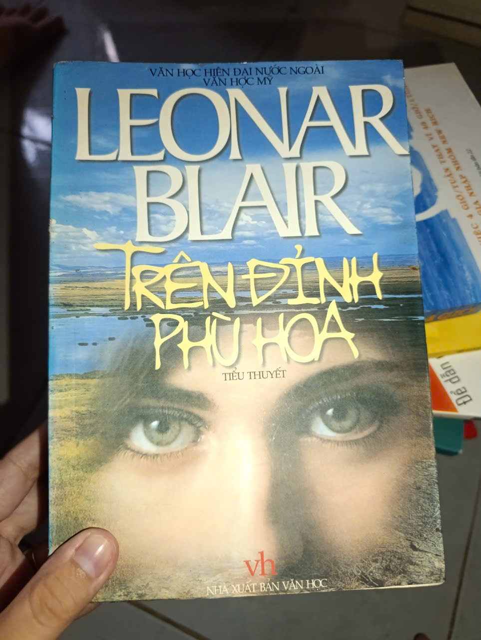 Trên đỉnh phù hoa - Leonar Blair mới 80% (Sách văn học) GZB