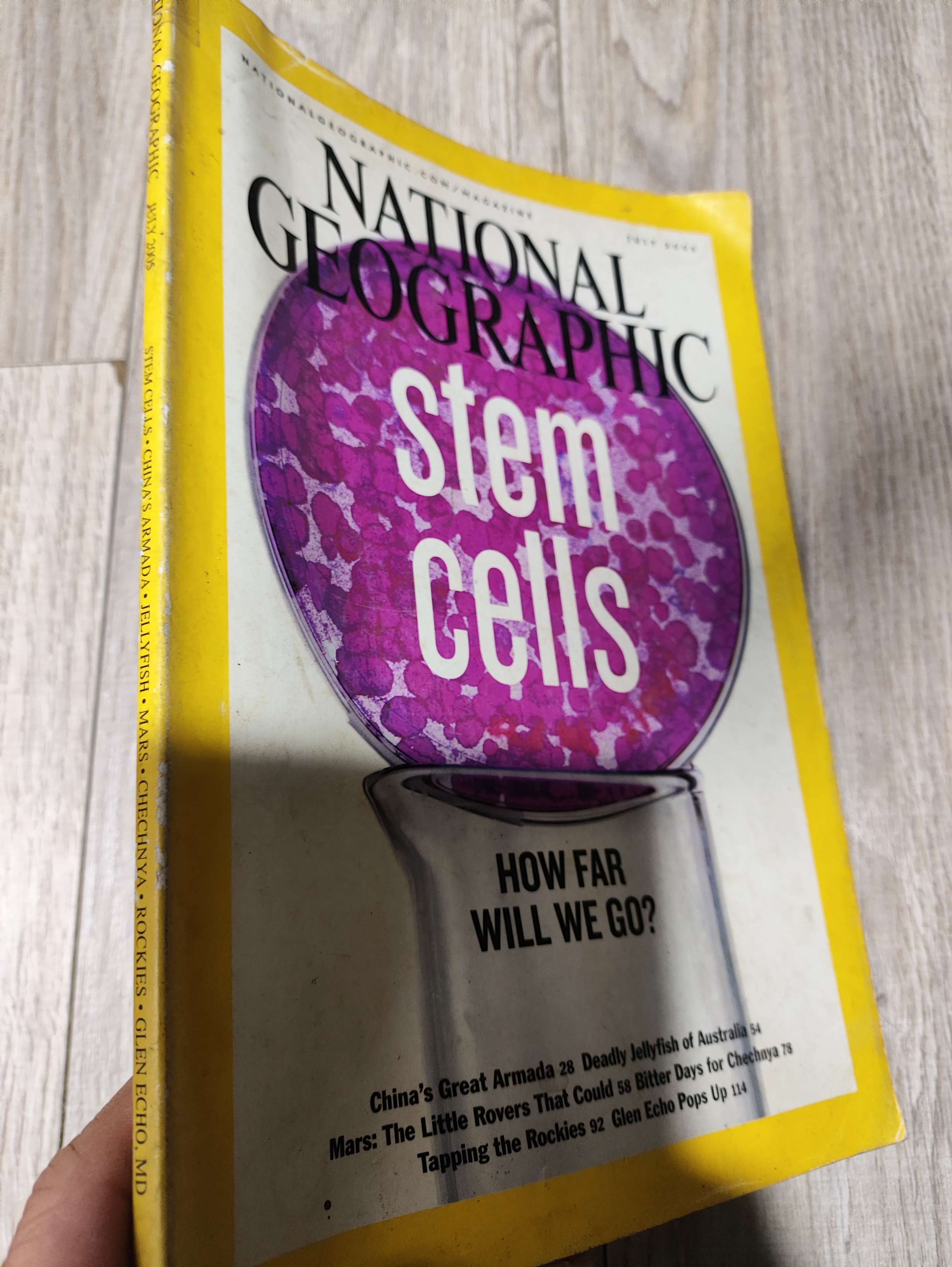 National geographic - Stem cetls 2005 Tạp Chí Đẹp, mới 70% , tróc gáy (Tạp chí) LNTQ