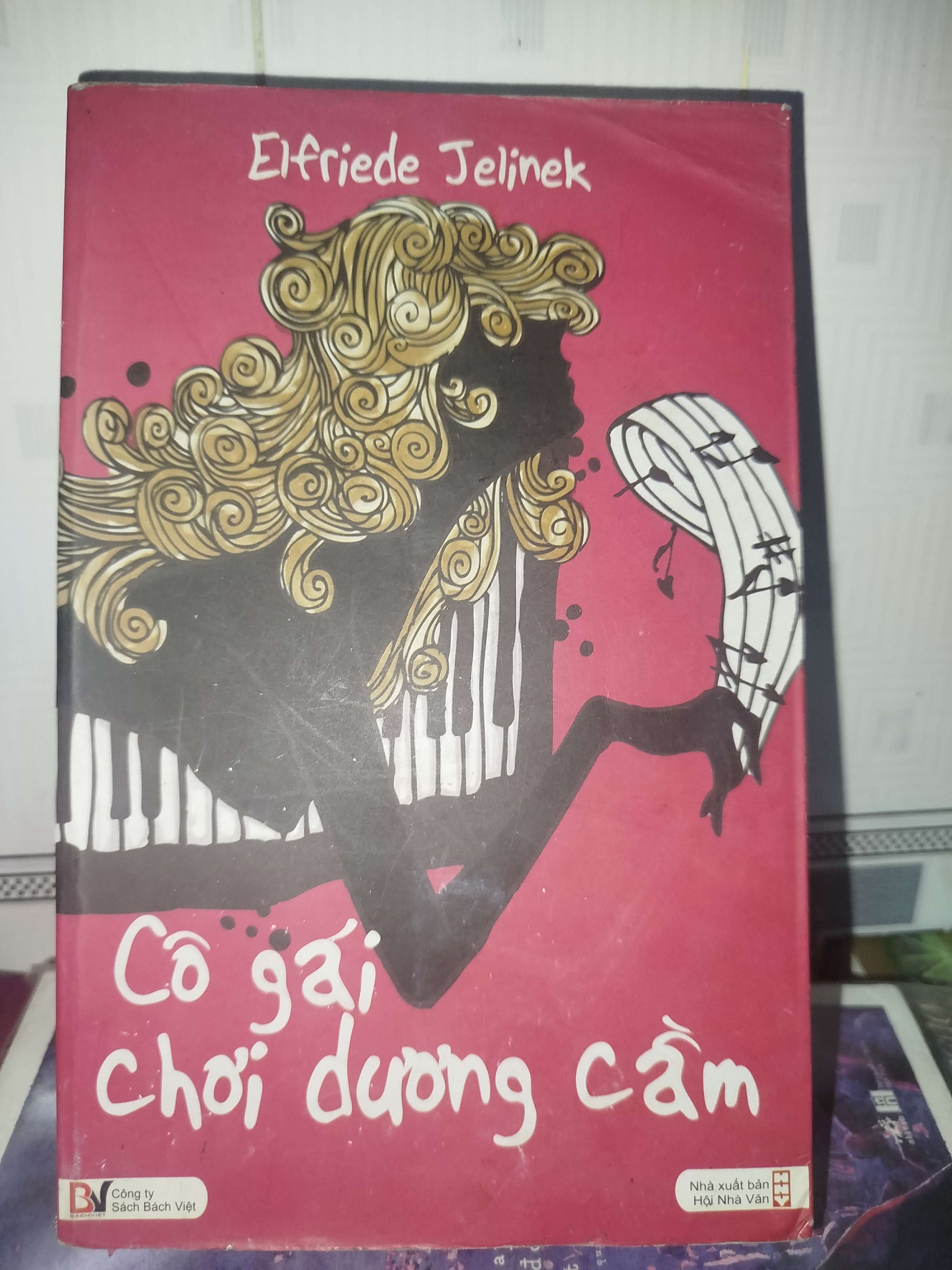 Cô gái chơi dương cầm - Elfriede Jelinek mới 80% (Sách văn học) GZB