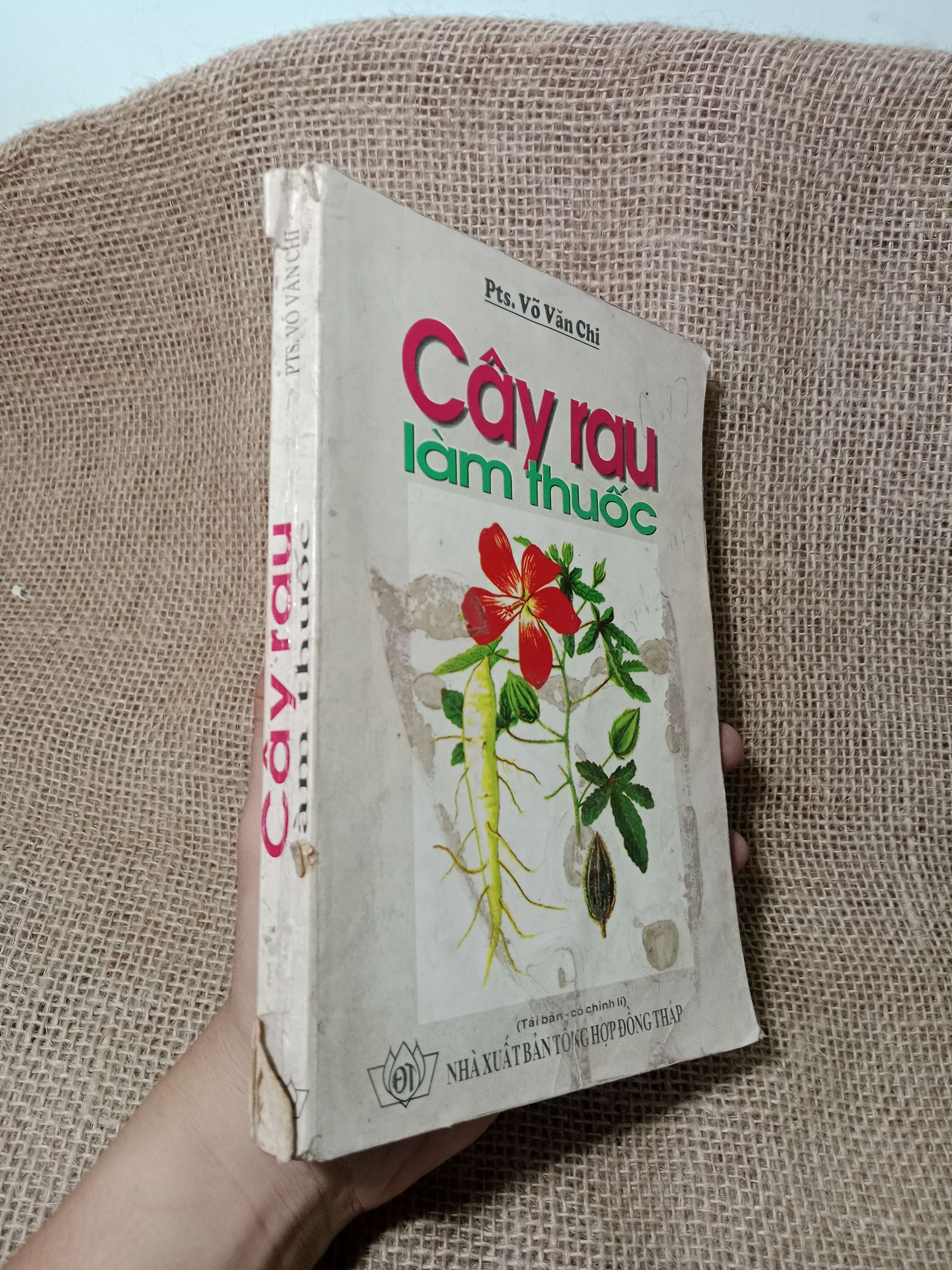 Cây rau làm thuốc - Võ Văn Chi 1998 mới 70% , tróc gáy (Sách Y học - Sức khỏe - Thể thao) HCM