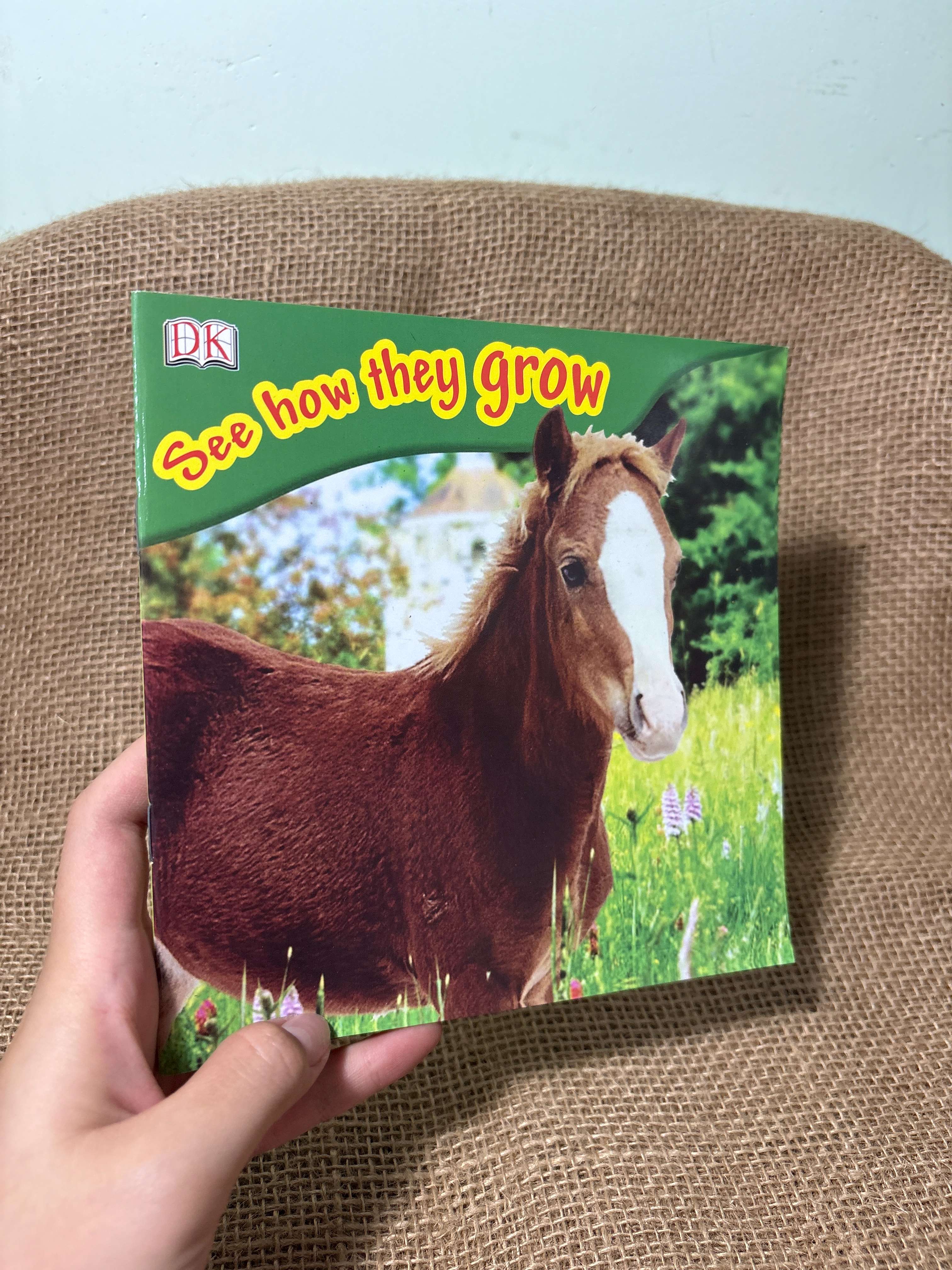 See how they grow mới 80% (Sách tự học tiếng Anh) HCM