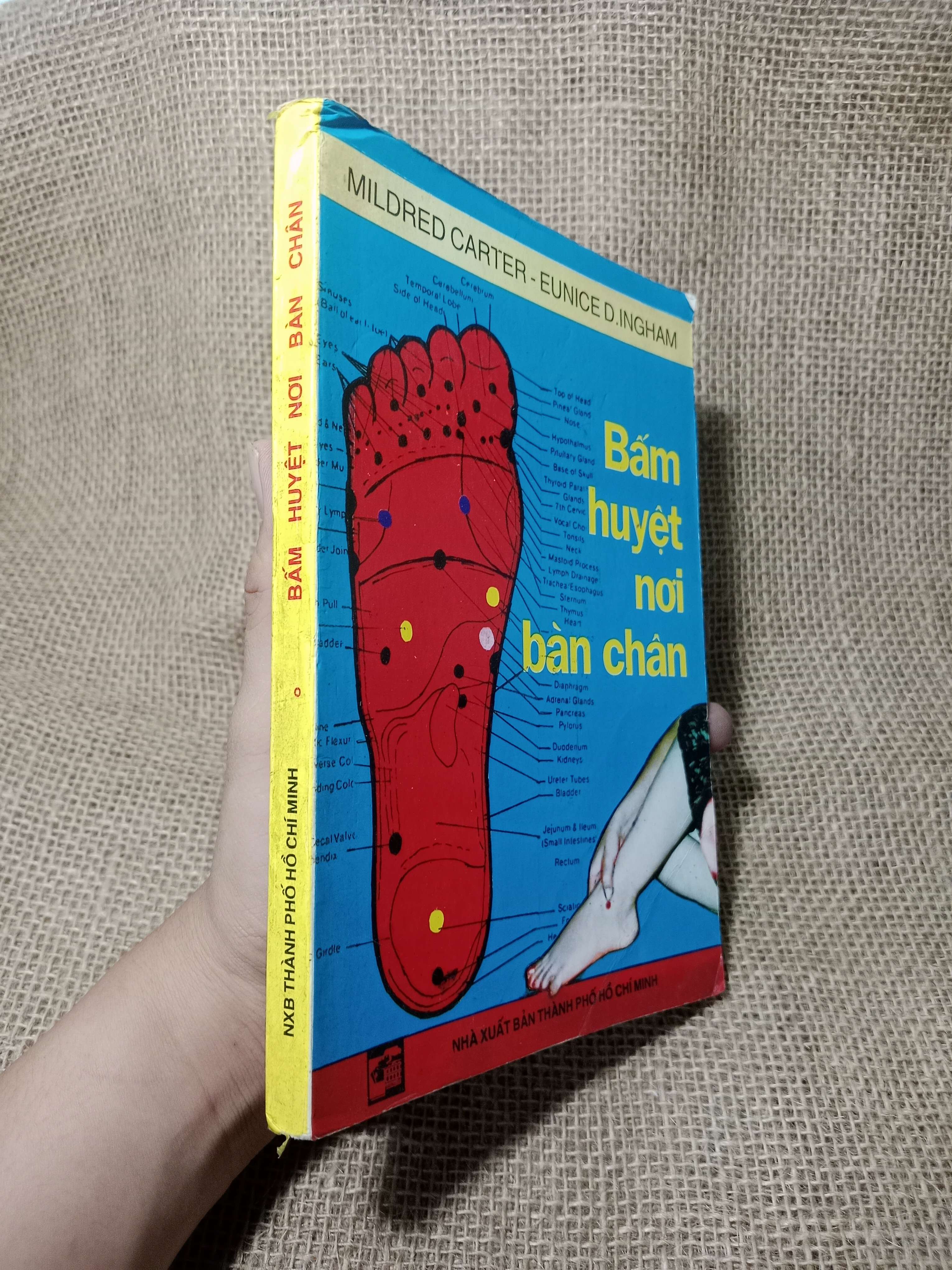 Bấm huyệt nơi bàn chân - Mildred Carter, Eunice D.Ingham 1997 mới 80% (Sách Y học - Sức khỏe - Thể thao) HCM