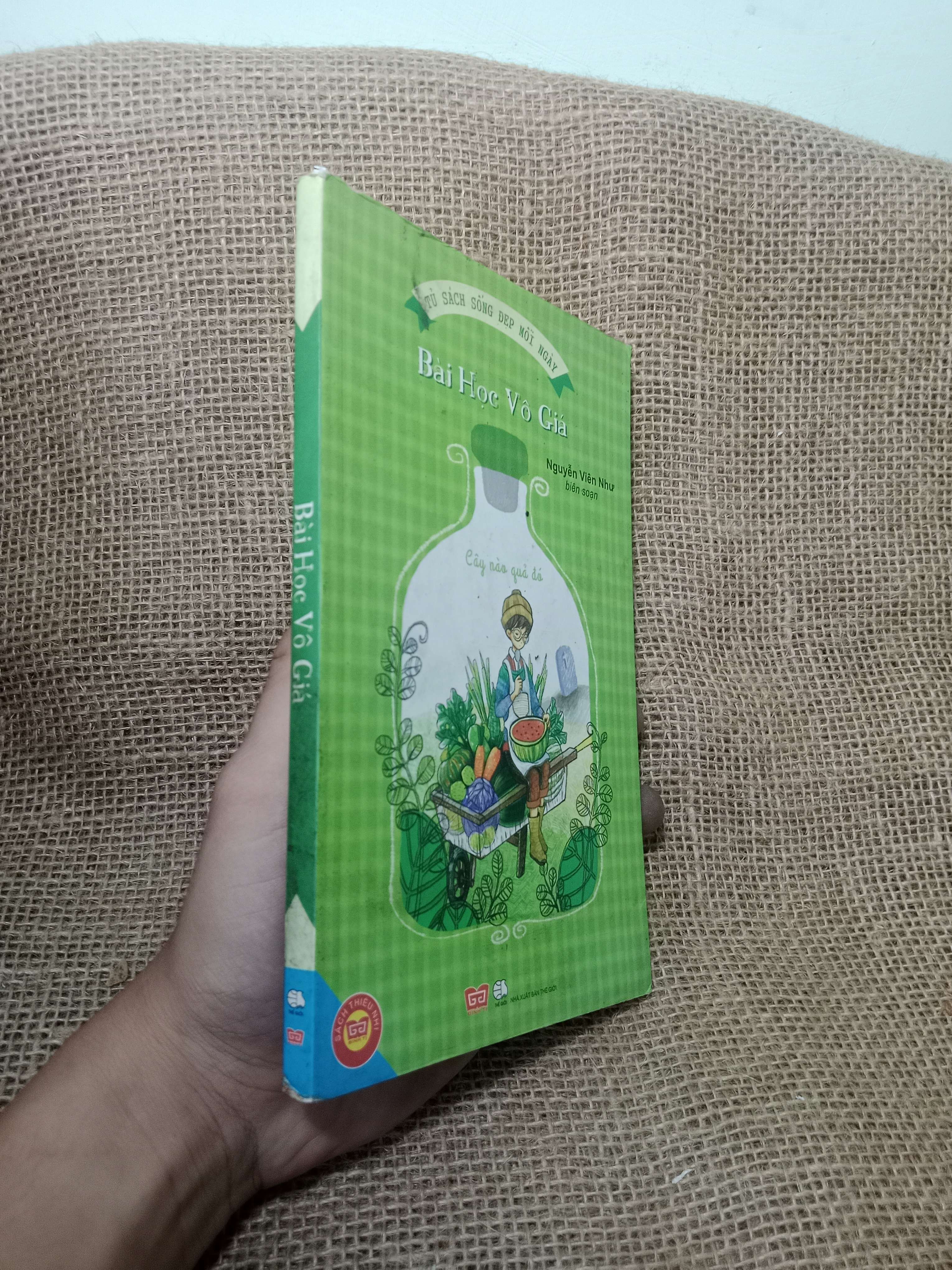 Bài học vô giá - Nguyễn Viên Như 2015 mới 80% (Sách văn học) HLSC