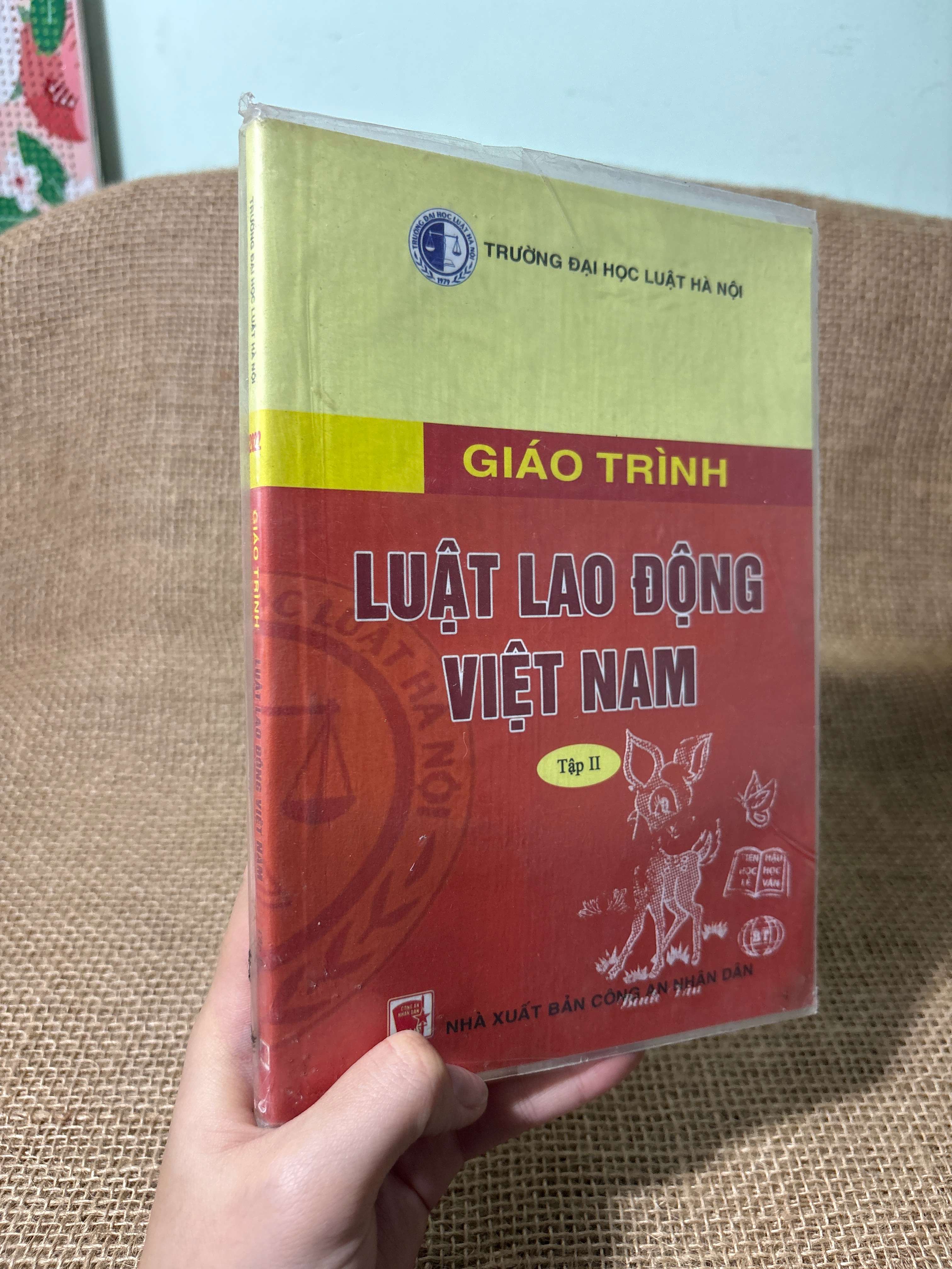 Giáo trình Luật lao động Việt Nam tập 2 2022 mới 80% (Giáo trình đại học - cao đẳng) HLSC