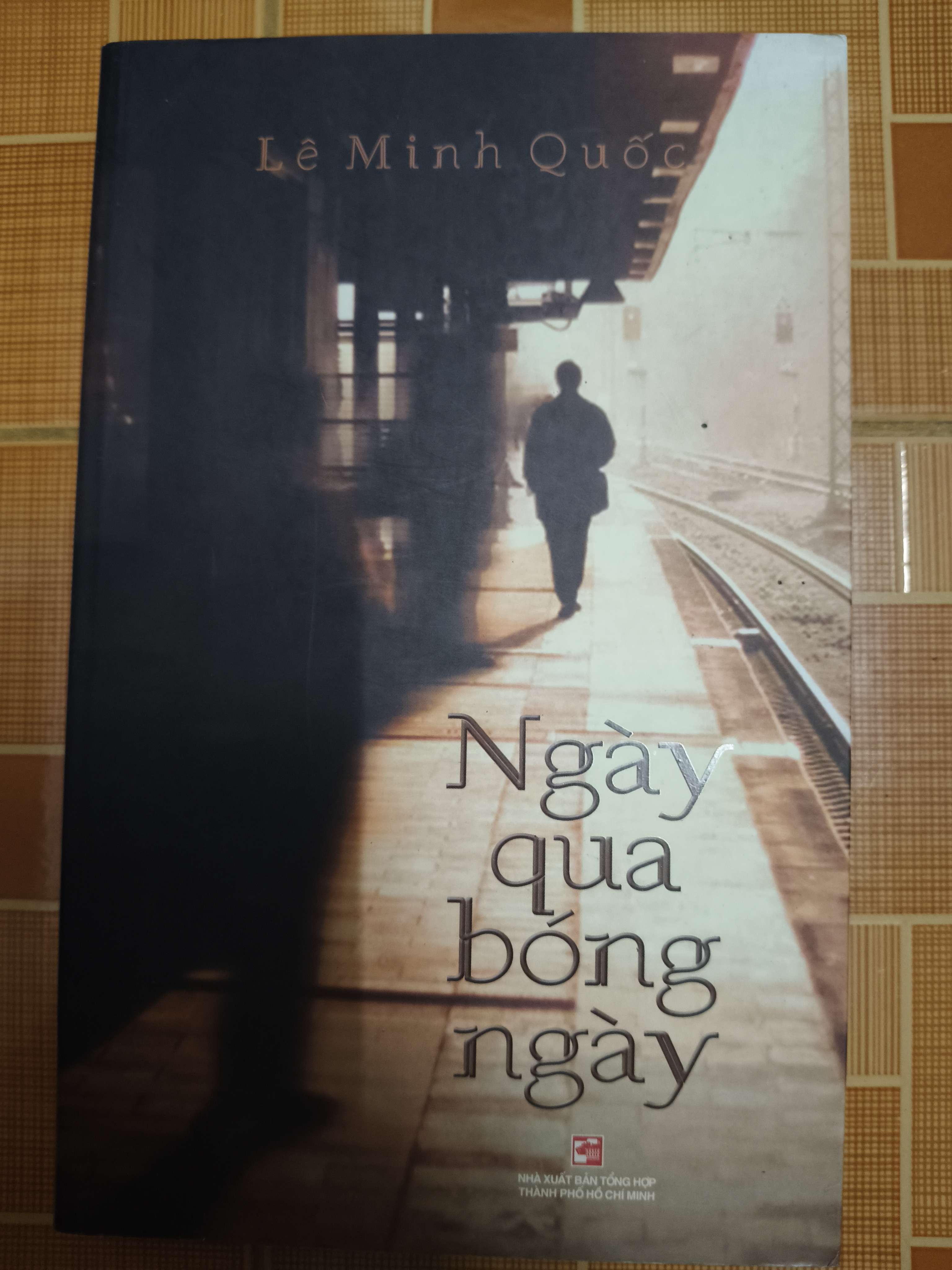 Ngày qua bóng ngày - Xb 2018 - 415 trang (Sách văn học) ANTQ