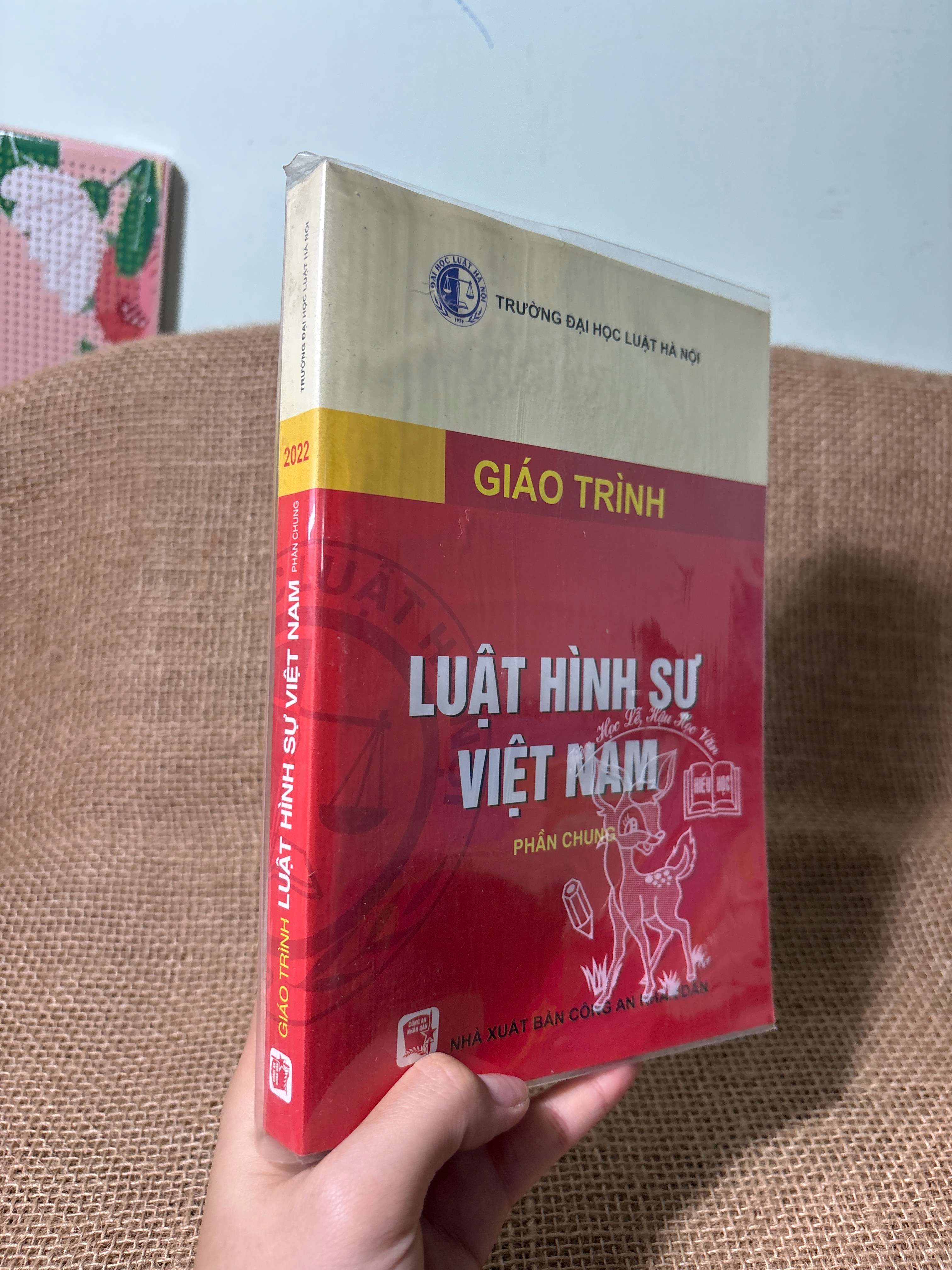Giáo trình luật hình sự Việt Nam phần chung 2020 mới 80% (Giáo trình đại học - cao đẳng) HLSC