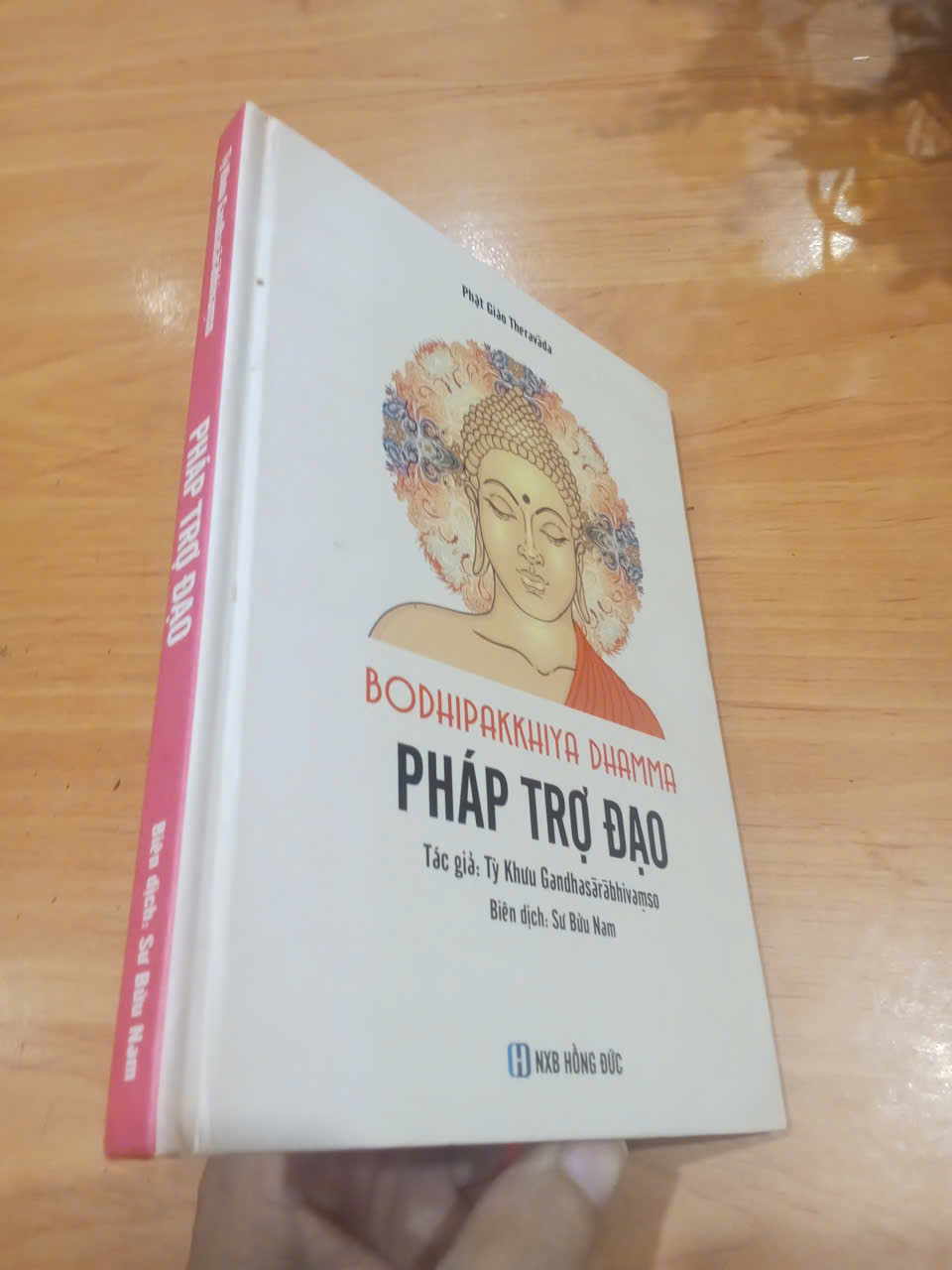 Pháp trợ đạo 2017 mới 80% (Sách tôn giáo - tâm linh) HCM (MVB)