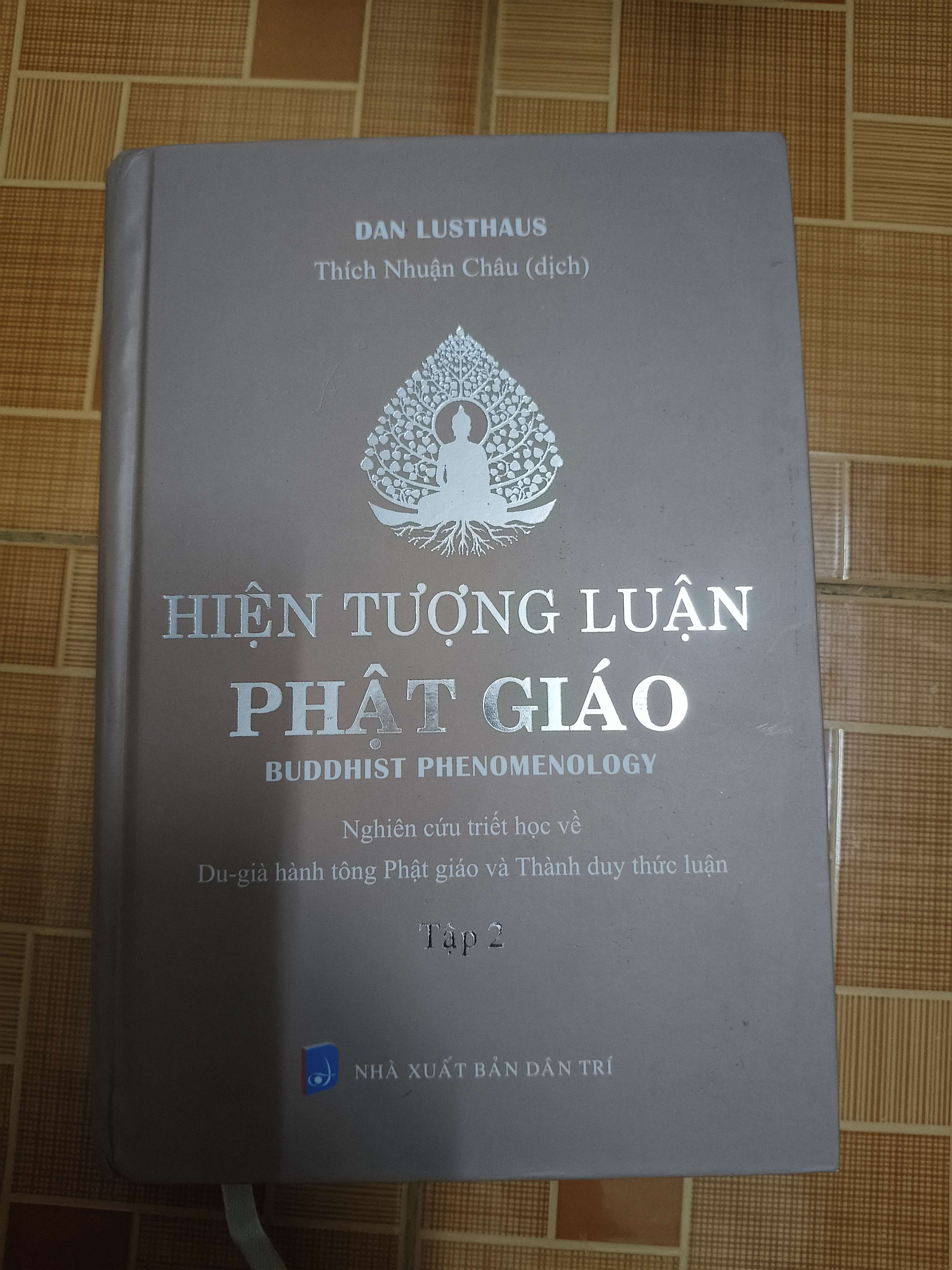 Hiện tượng luận Phật giáo - Xb 2024 - 622 trang - Bìa cứng (Phật giáo) ANTQ
