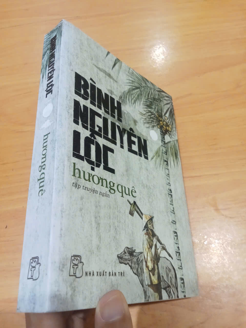 Hương quê - Bình Nguyên Lộc mới 80% (Sách văn học) HCM (MVB)