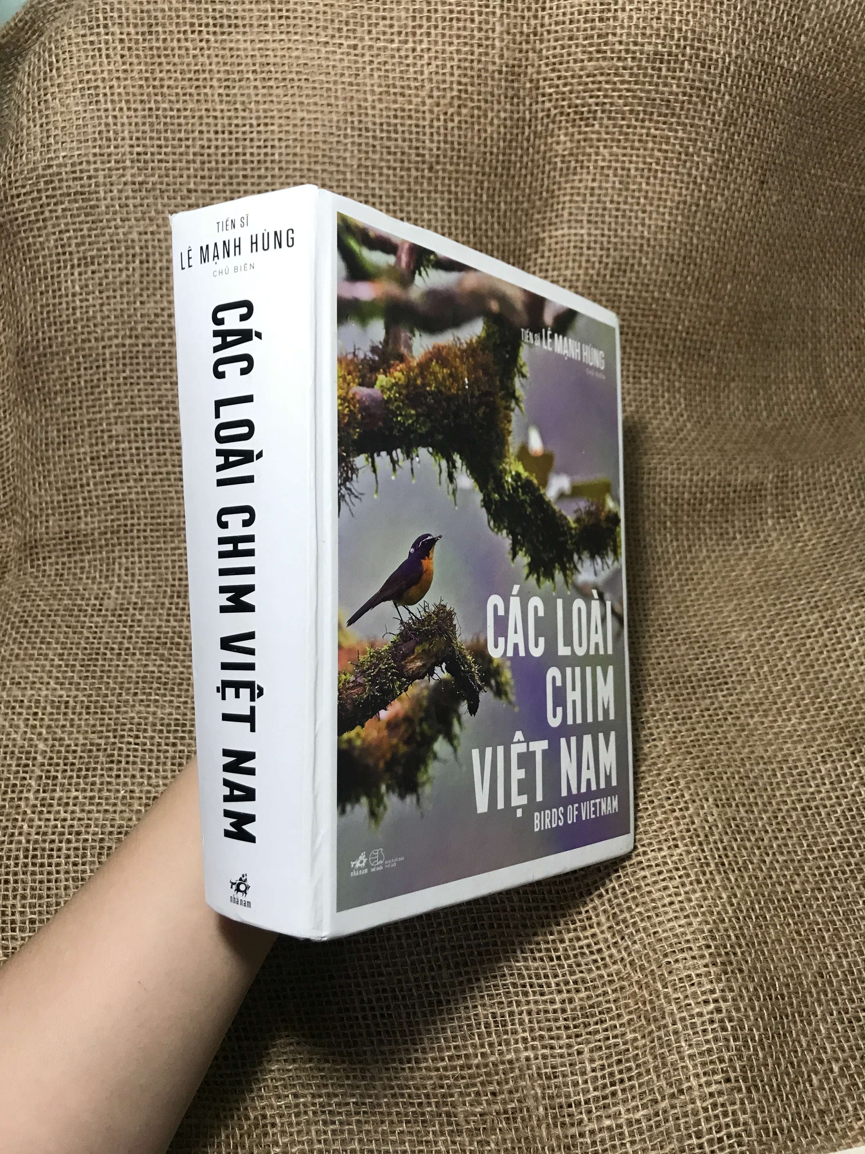 Các loài chim Việt Nam - Lê Mạnh Hùng 2021 mới 80% (Sách kiến thức tổng hợp) HCM
