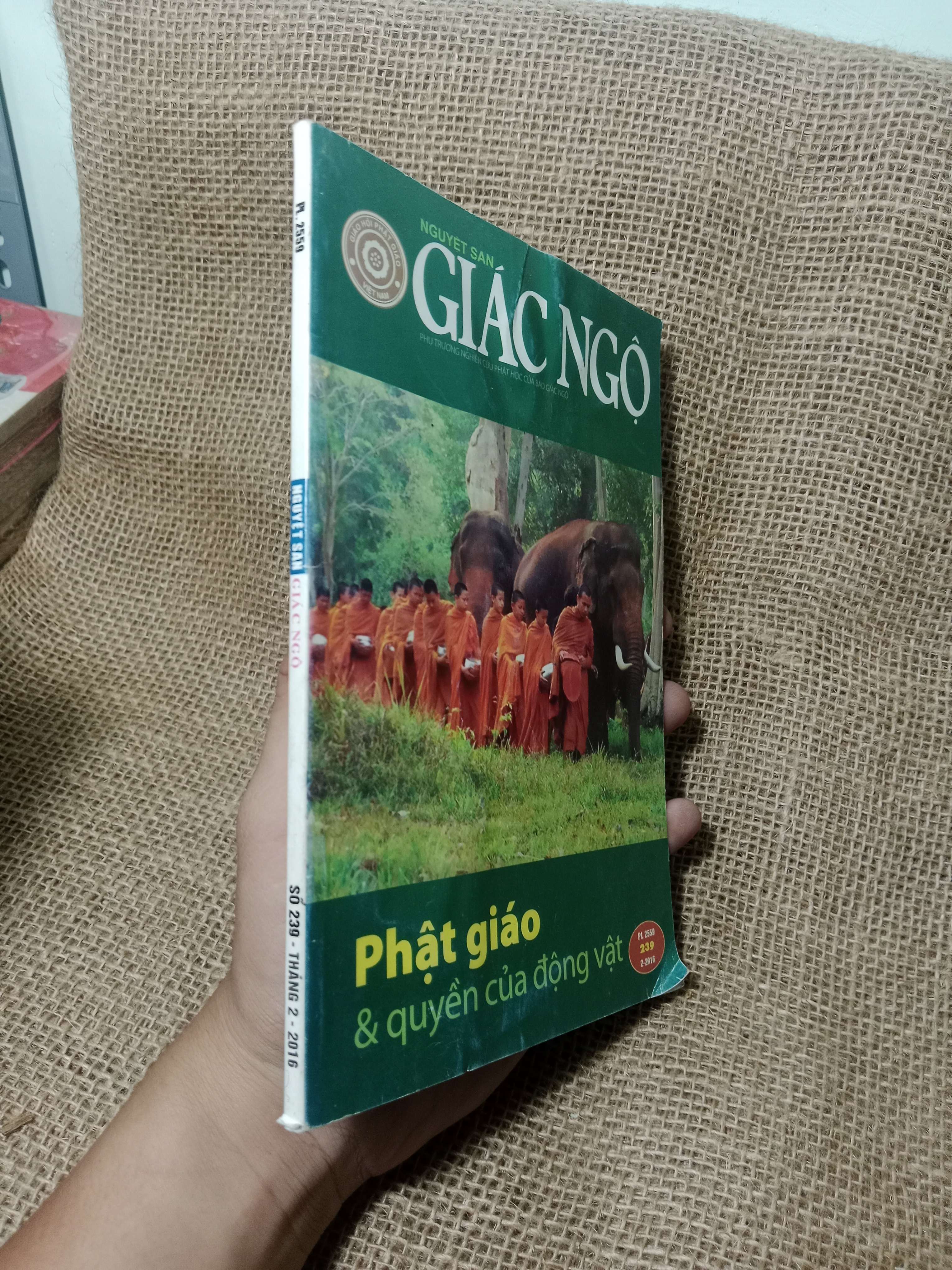 Phật giáo & quyền của động vật 2016 mới 80% (Sách tôn giáo - tâm linh) HLSC