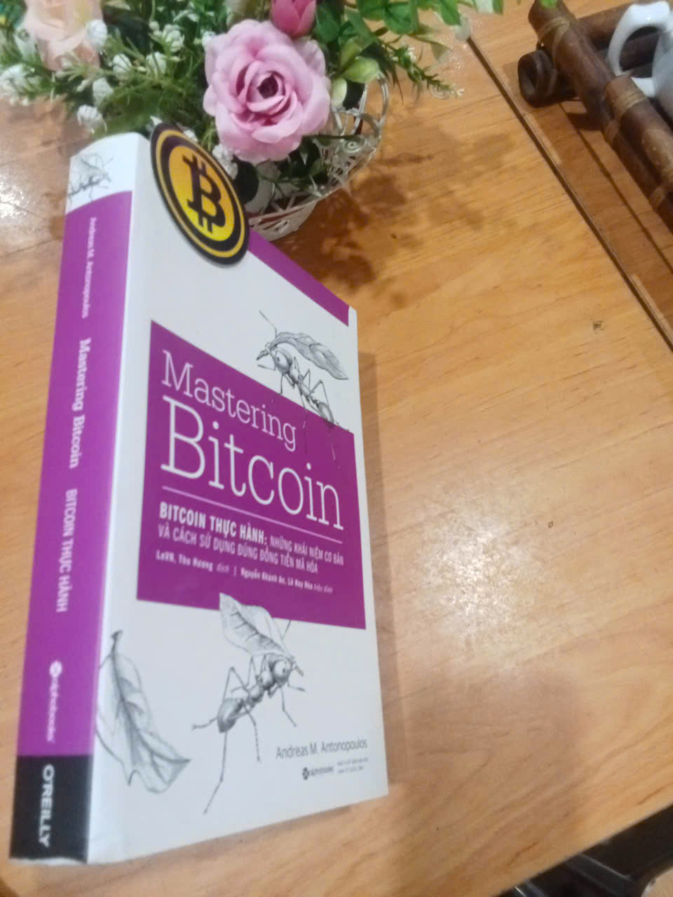 Mastering Bitcoin-Bitcoin Thực Hành - Andreas M. Antonopoulos mới 80% (Sách kinh tế - tài chính - chứng khoán) HCM (MVB)