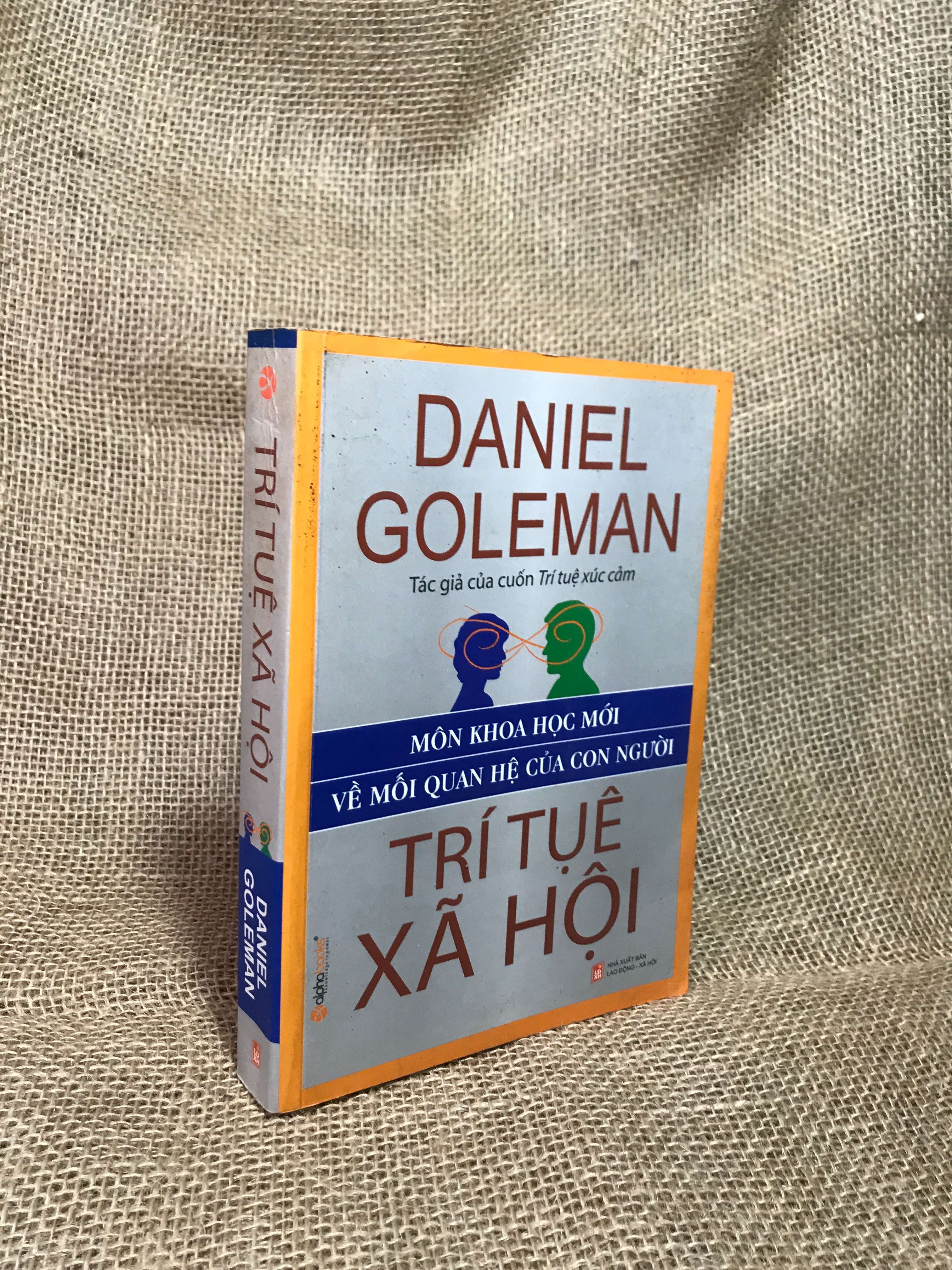 Trí tuệ xã hội - Daniel Goleman 2008 mới 80% (Sách tâm lý học - giới tính) HCM
