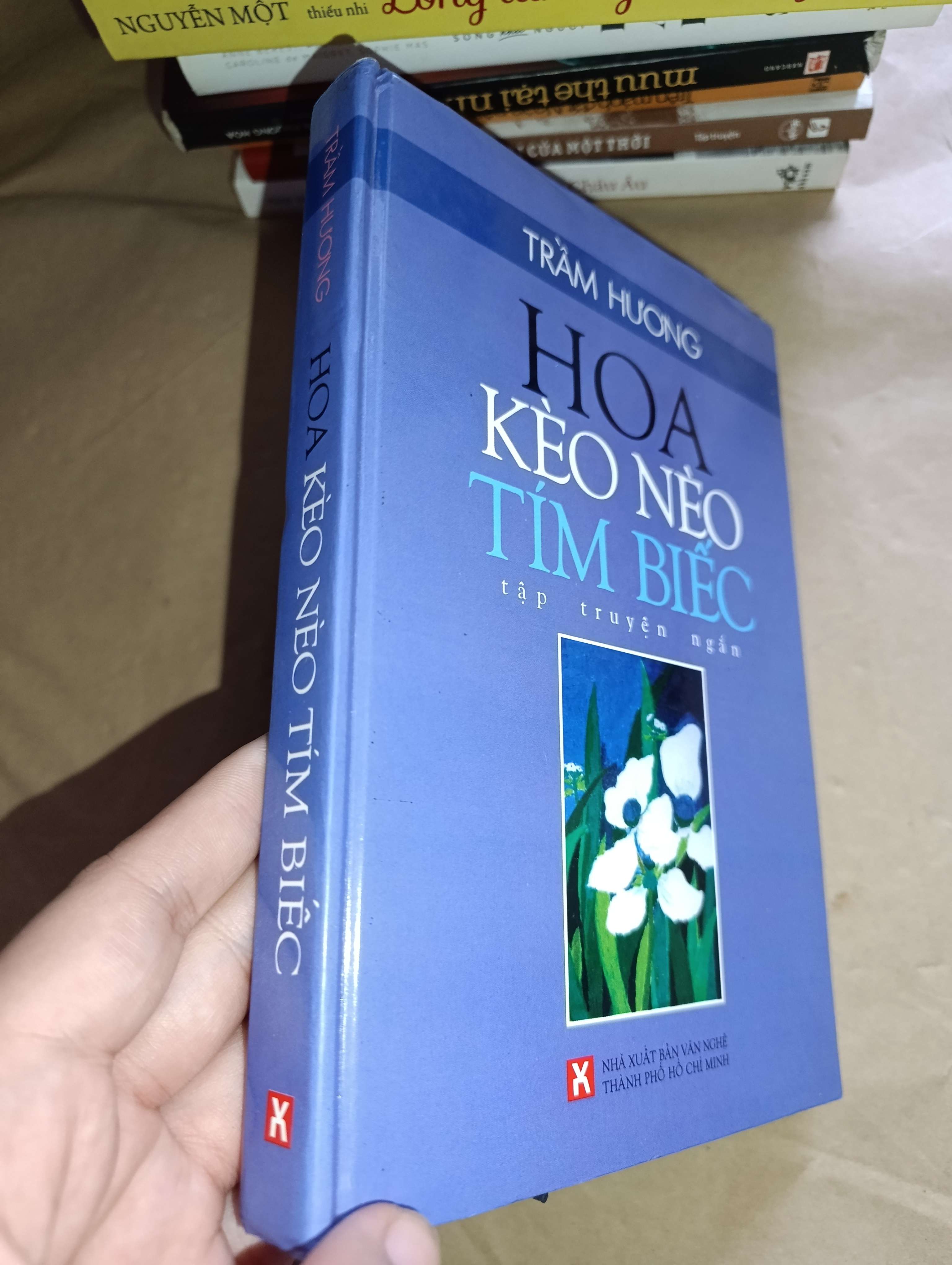 Hoa kèo nèo tím biếc - Trầm Hương 2005 (Sách văn học) Mới 80% GZB