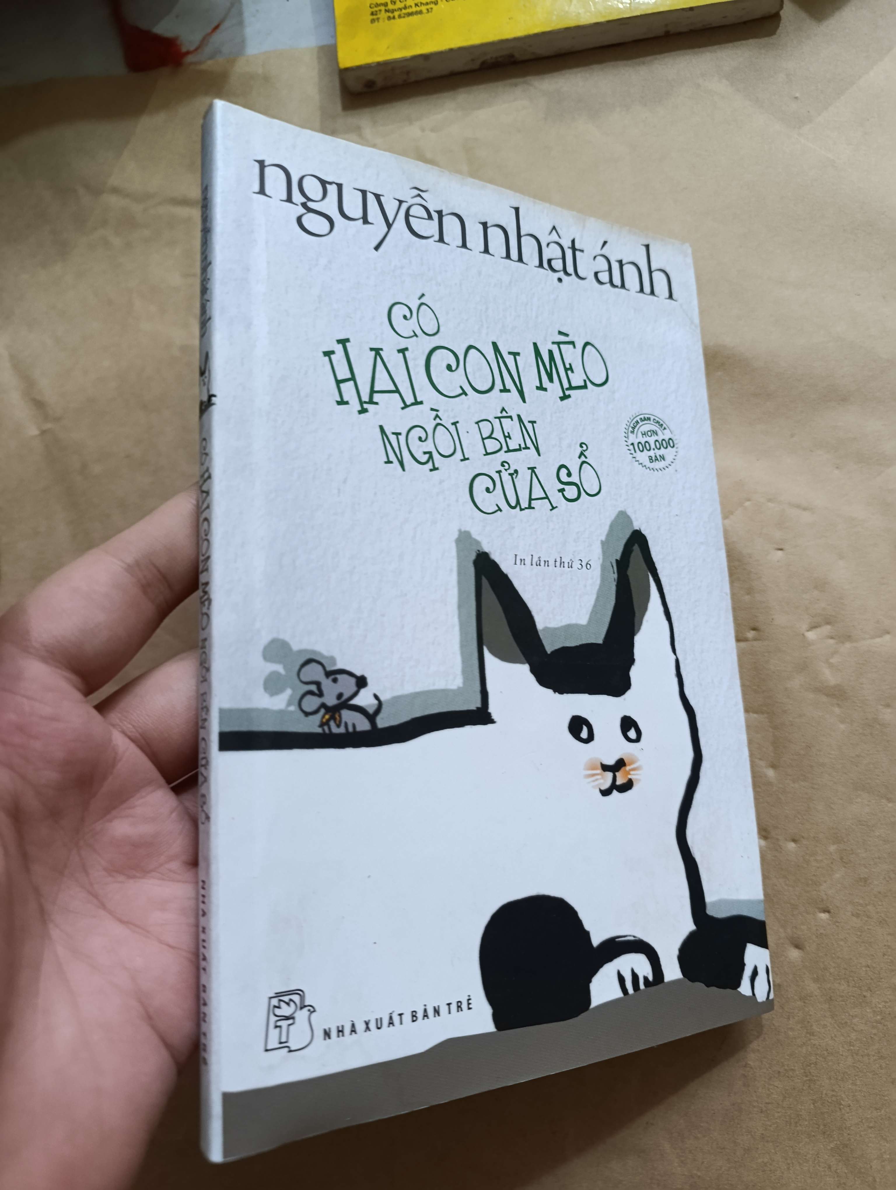 Có hai con mèo ngồi bên cửa sổ - Nguyễn Nhật Ánh 2016 (Sách văn học) Mới 80% GZB