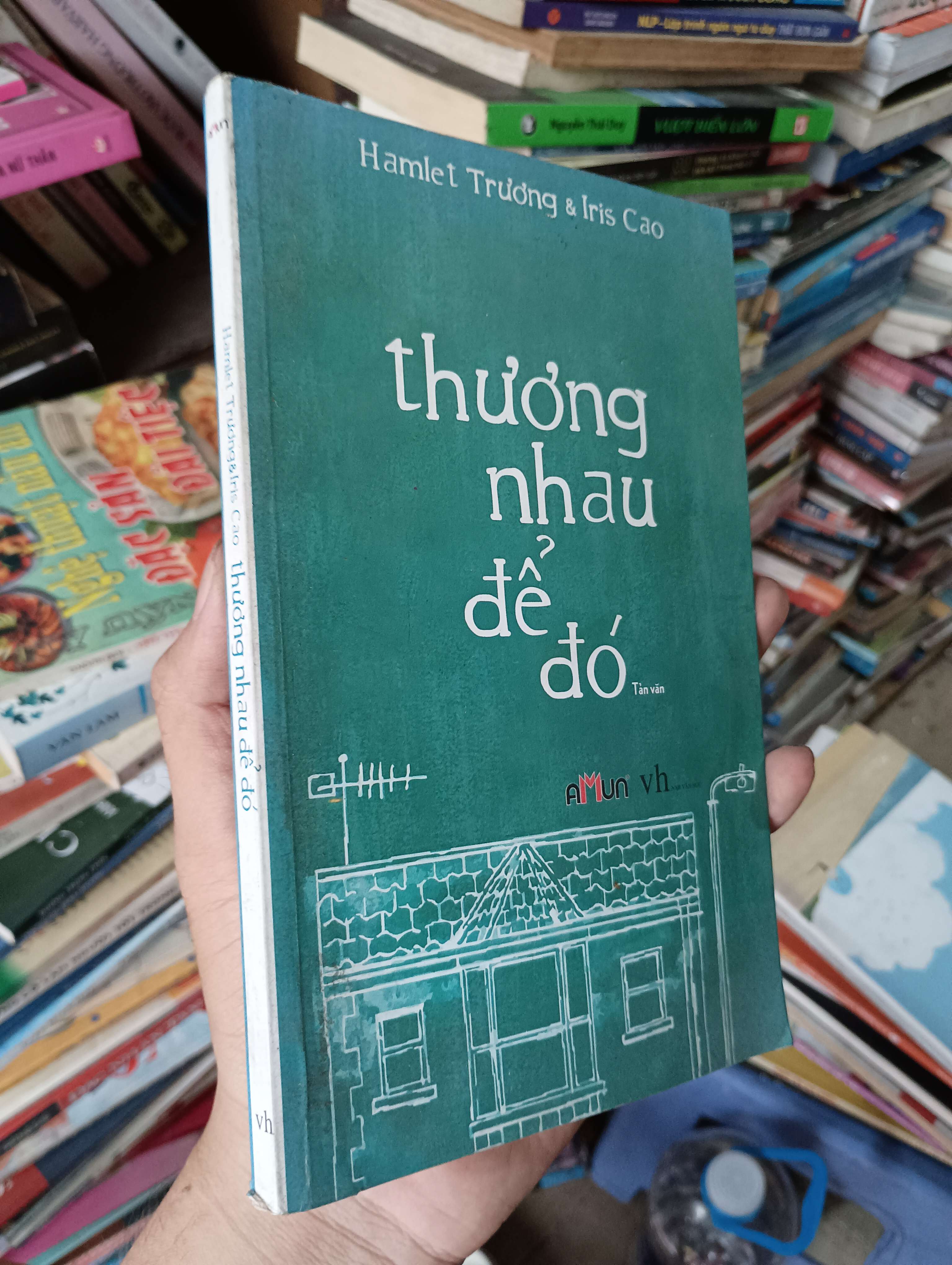 Thương Nhau Để Đó... - Hamlet Trương & Iris Cao 2013 Mới 80% (Sách văn học) OKBK1T4