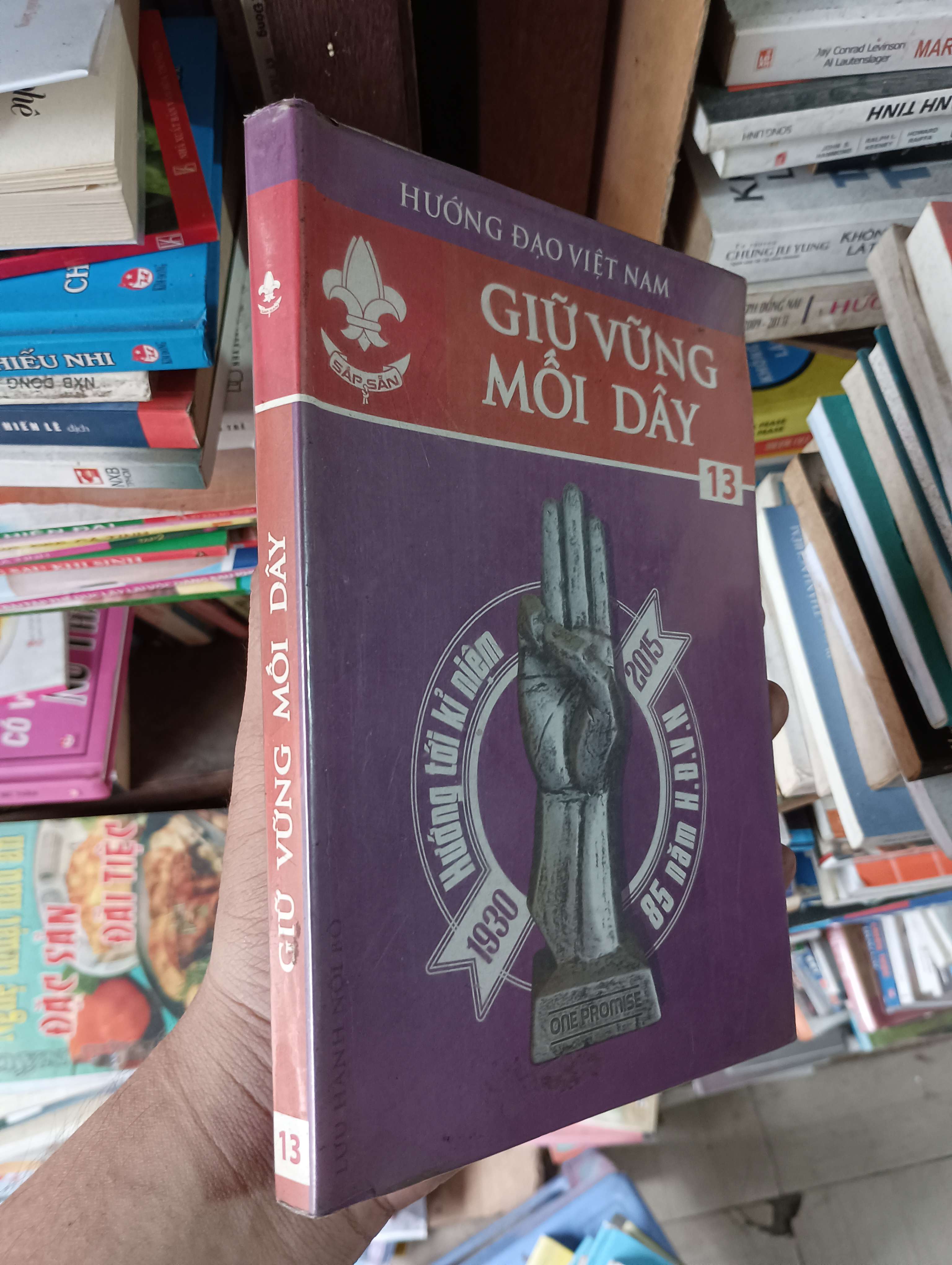 Giữ Vững Mối Dây (Tập 13) - Hội Hướng Đạo Việt Nam 2014 Mới 80% (Sách văn học) OKBK1T3