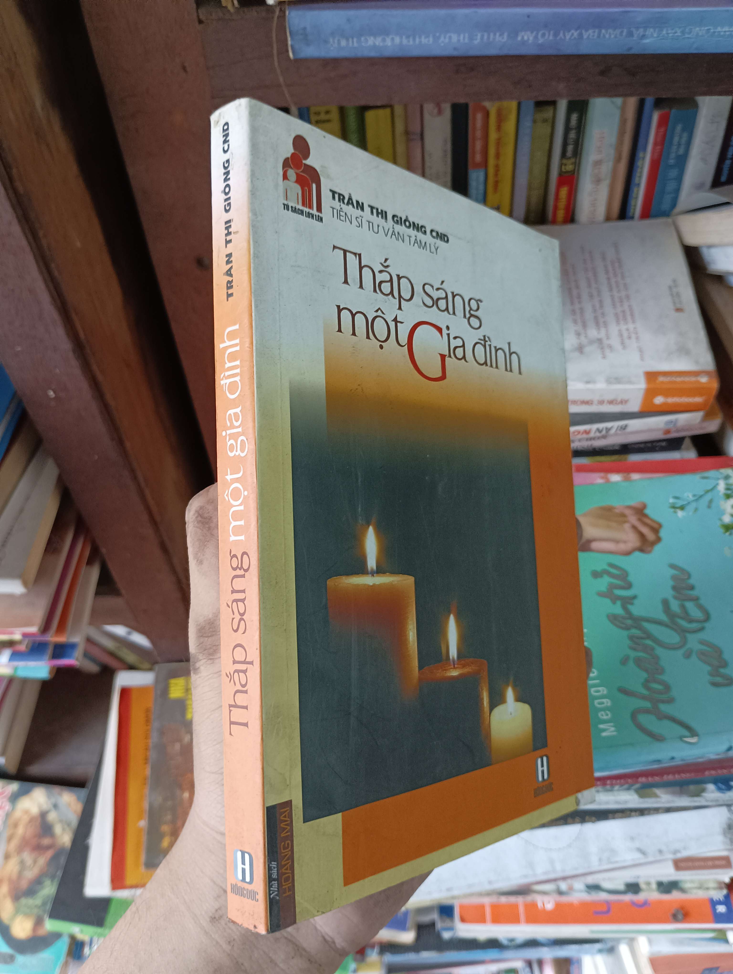 Thắp Sáng Một Gia Đình - TS. Tâm lý Trần Thị Giồng CND 2014 Mới 80% (Sách tâm lý học - giới tính) OKBK1T1