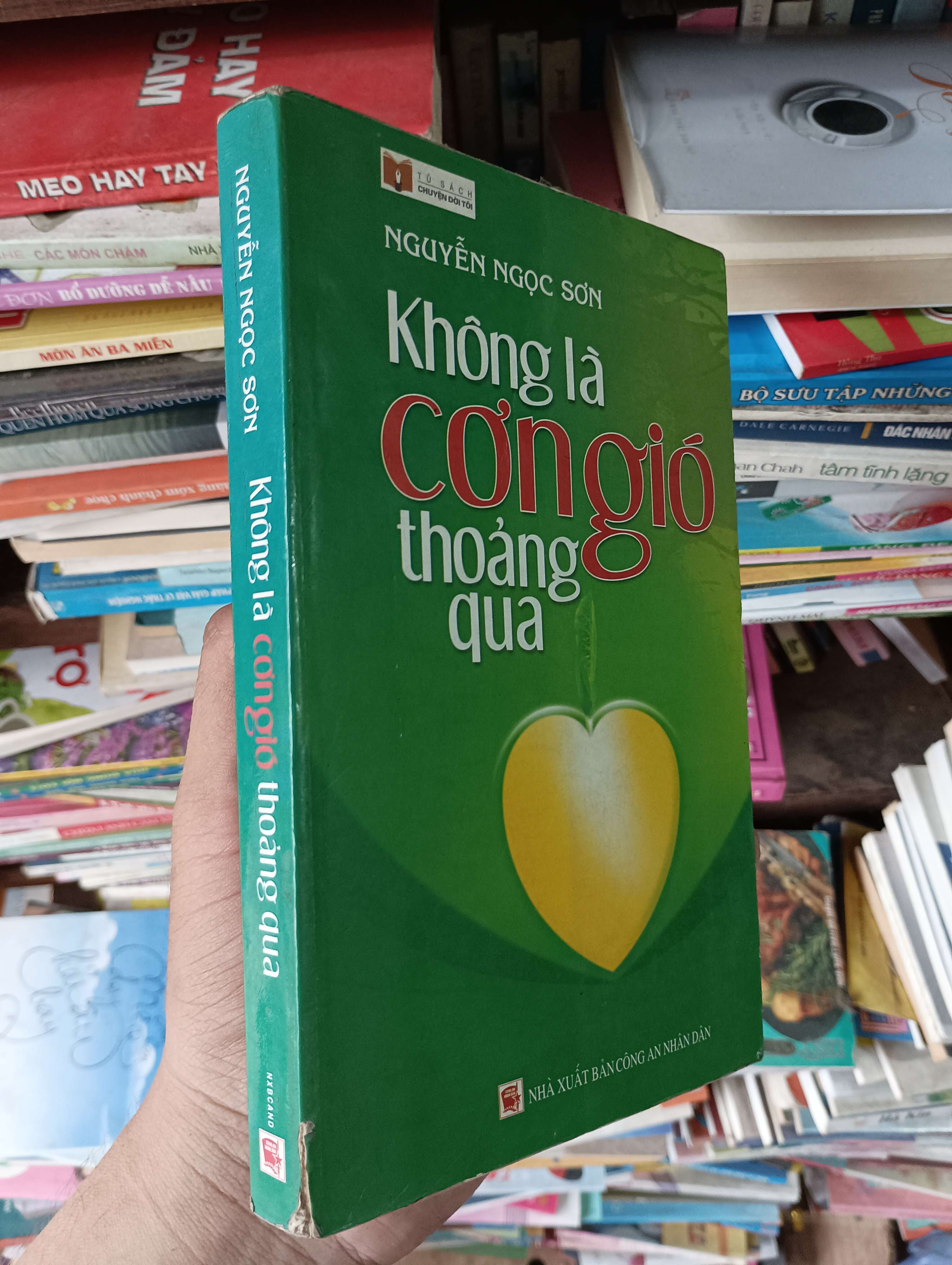 Không Là Cơn Gió Thoảng Qua (Tủ sách Chuyện Đời Tôi) - Nguyễn Ngọc Sơn 2009 Mới 80% (Sách văn học) OKBK1T3