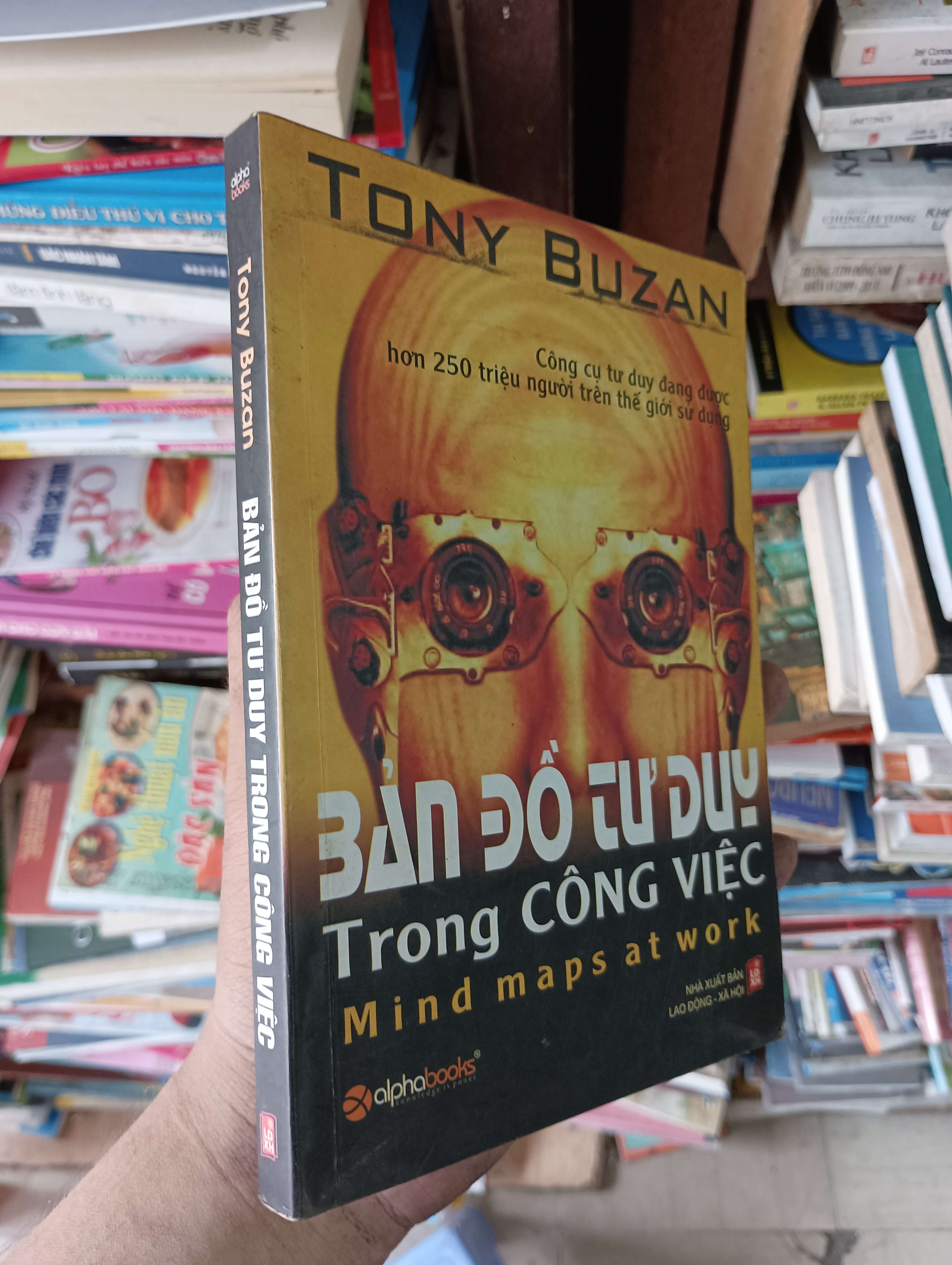 Bản Đồ Tư Duy Trong Công Việc (Mind Maps at Work) - Tony Buzan 2007 Mới 80% (Kỹ năng sống) OKBK1T2