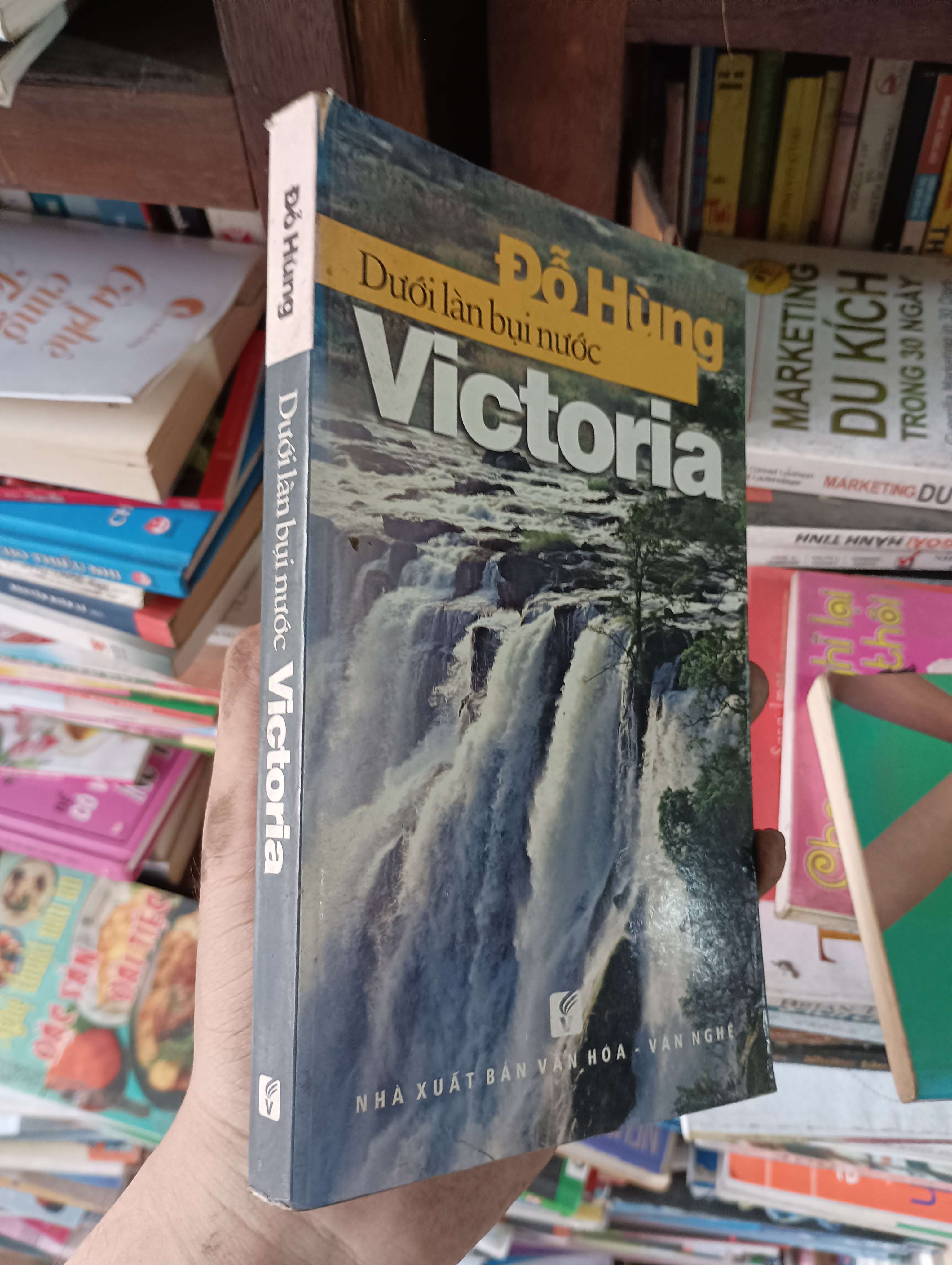 Dưới Làn Bụi Nước Victoria - Đỗ Hùng 2011 Mới 80% (Sách văn học) OKBK1T1